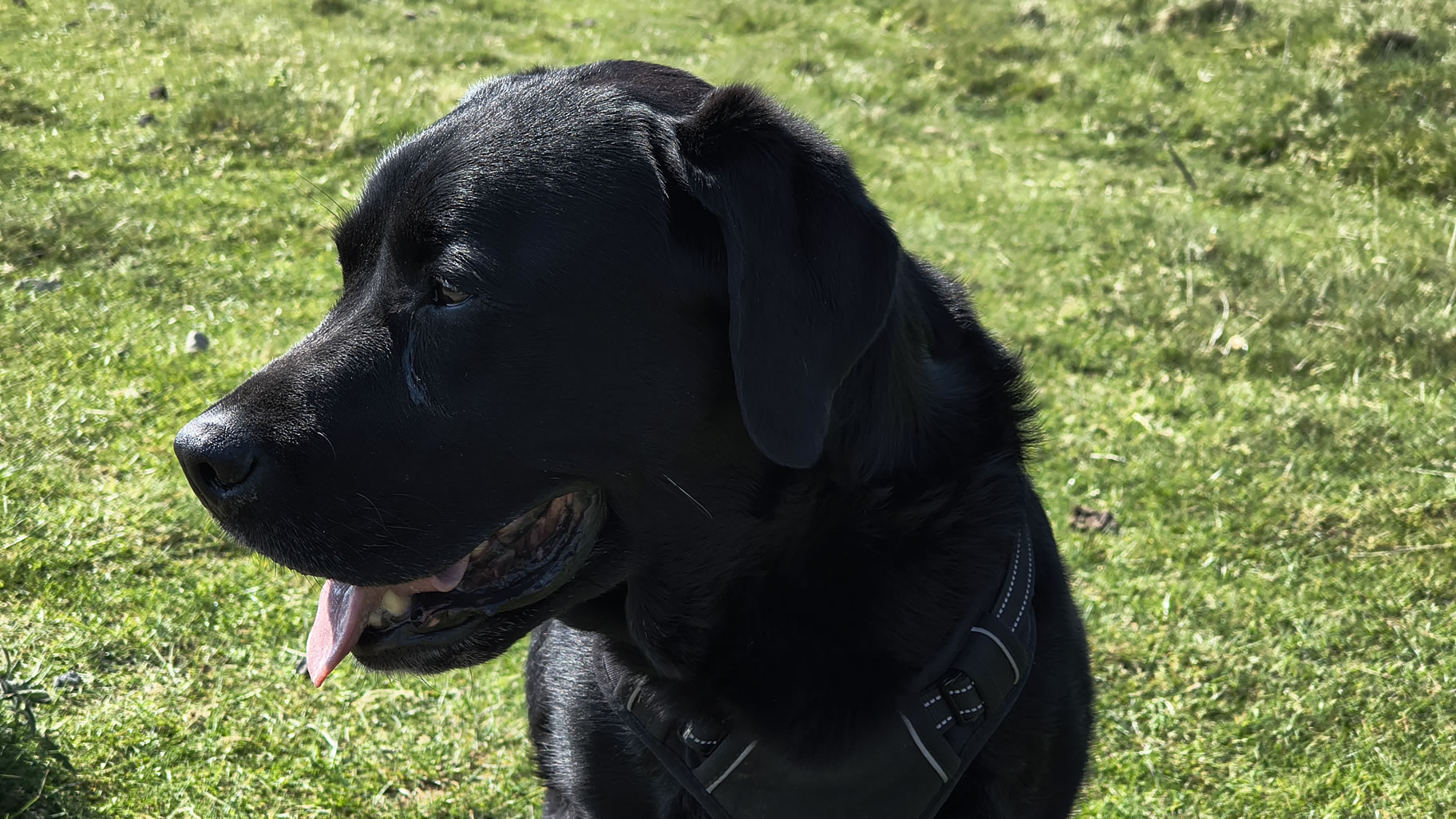 Latrigg quick stop May 12, 2025 - Image 2