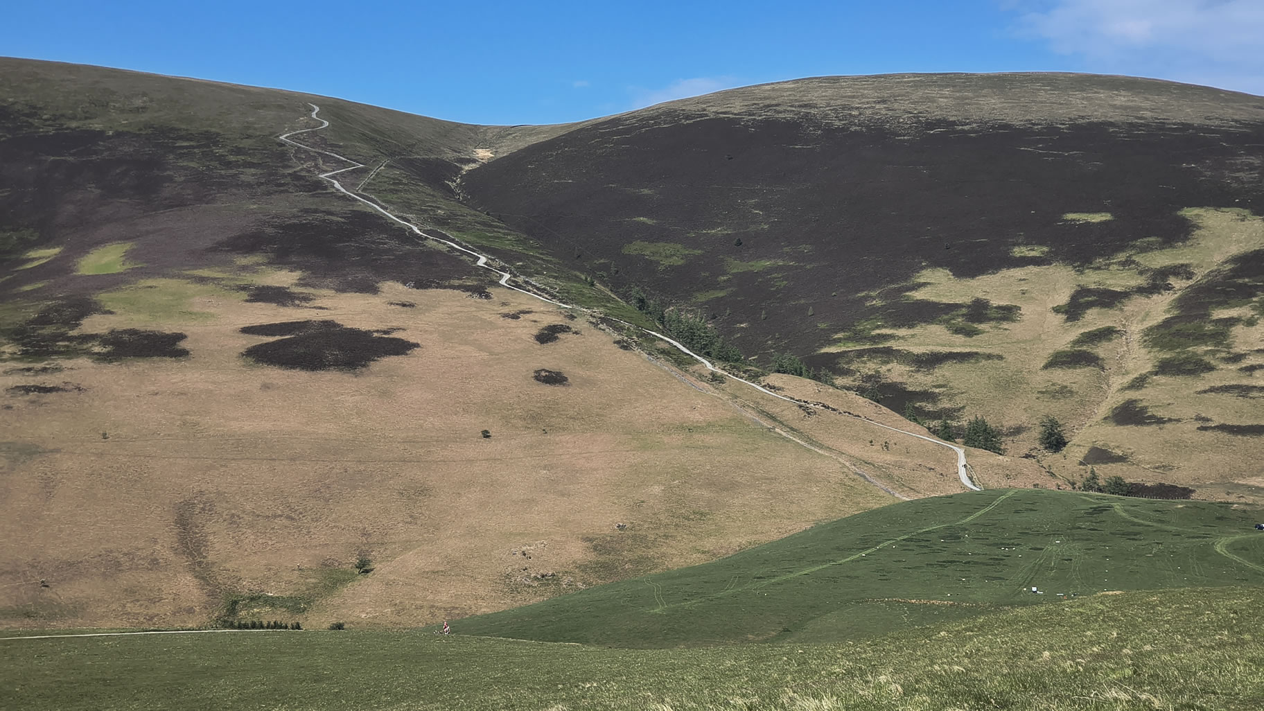 Latrigg quick stop May 12, 2025 - Image 4