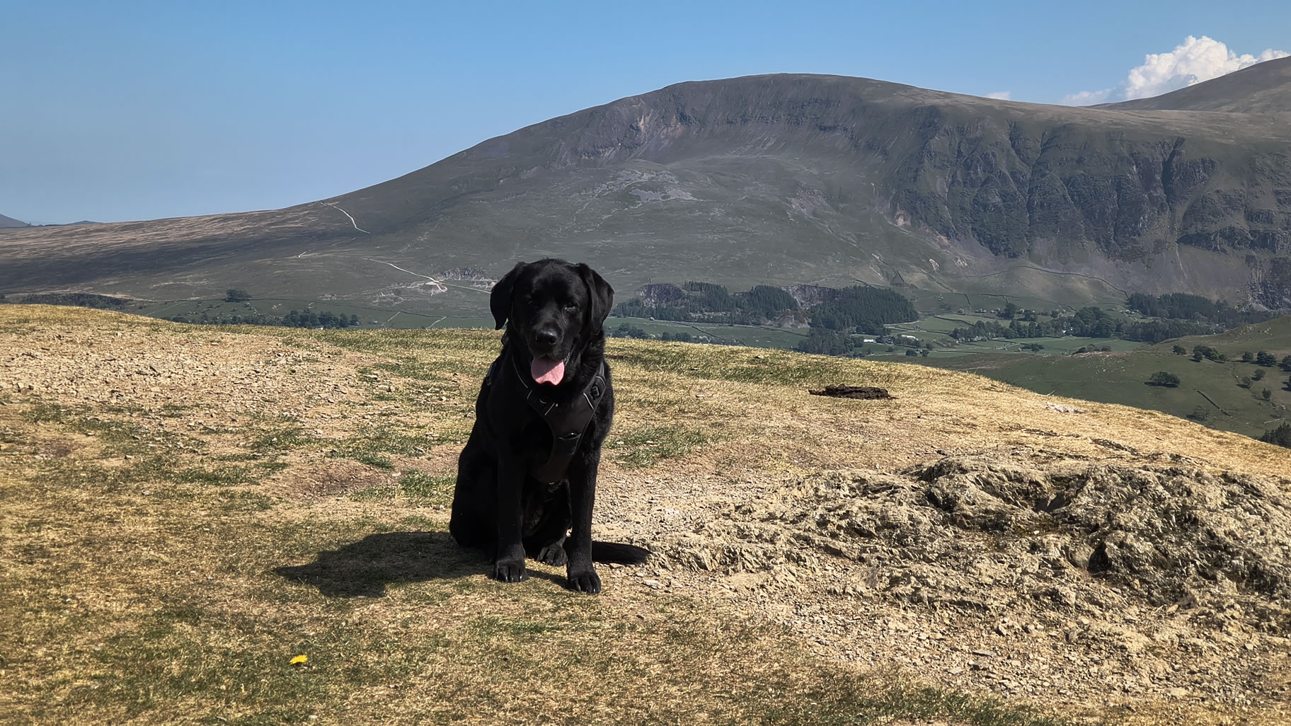 Latrigg quick stop May 12, 2025 - Image 7