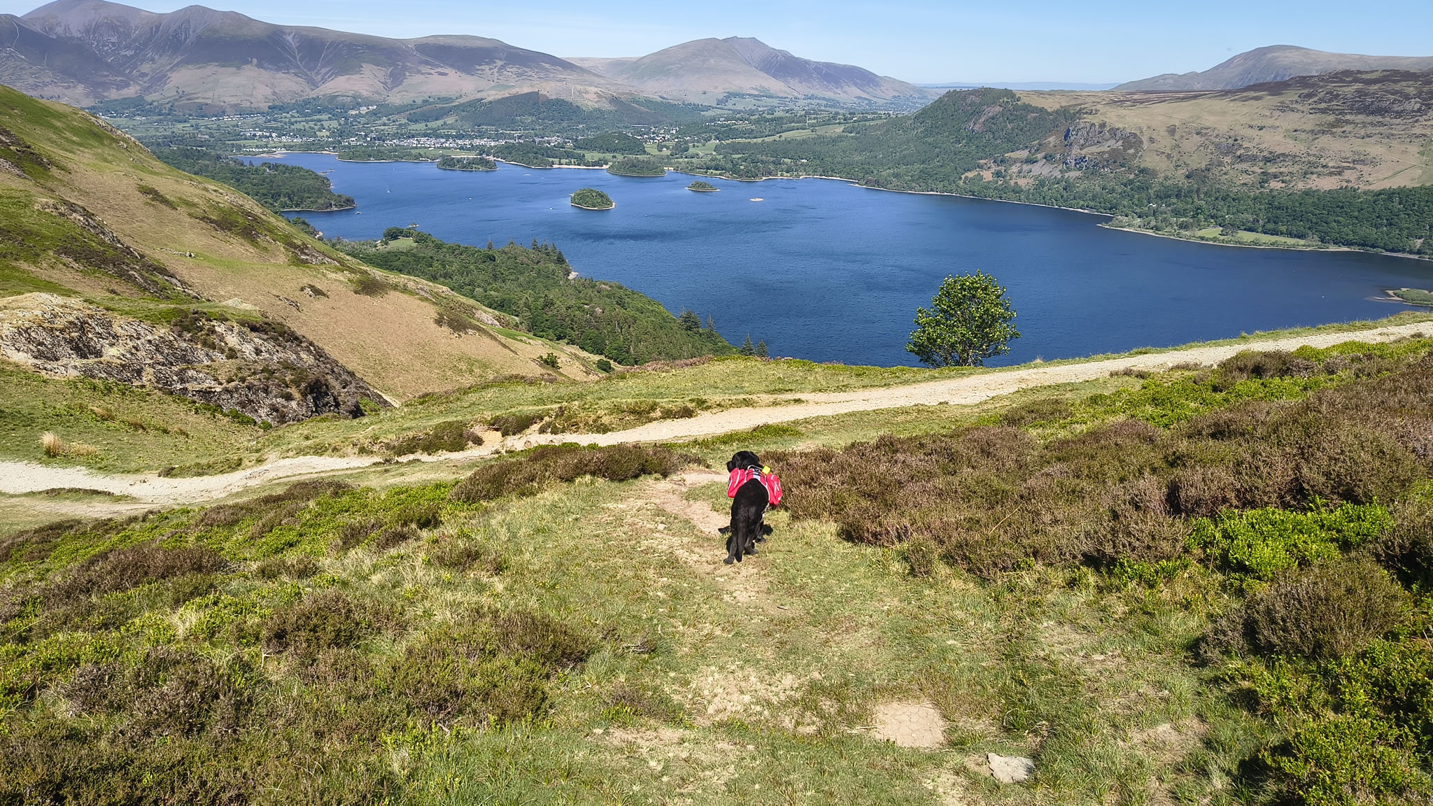 Robinson, Hindscarth