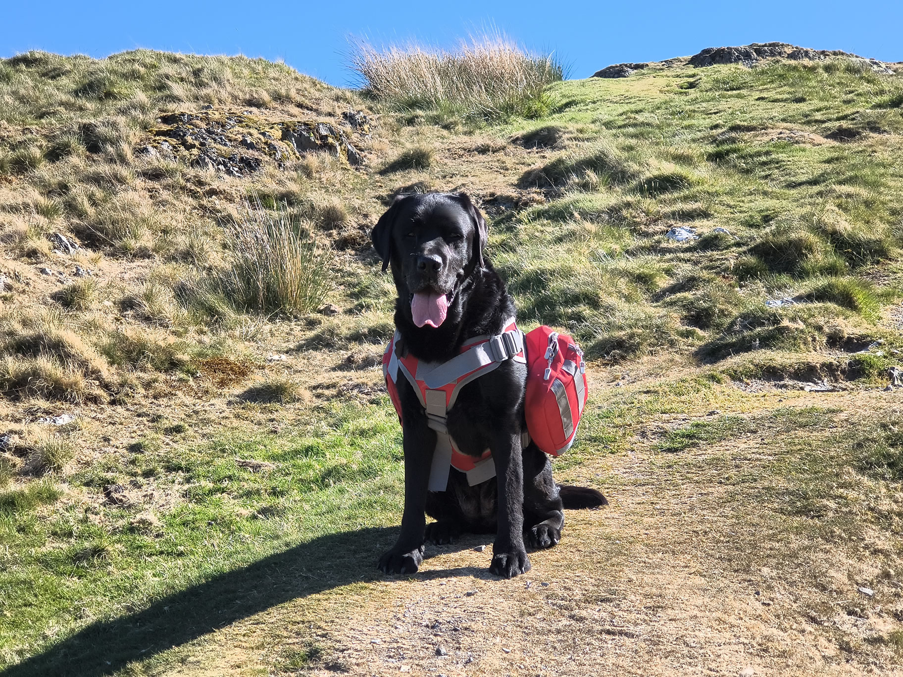 Robinson, Hindscarth May 13, 2025 - Image 3