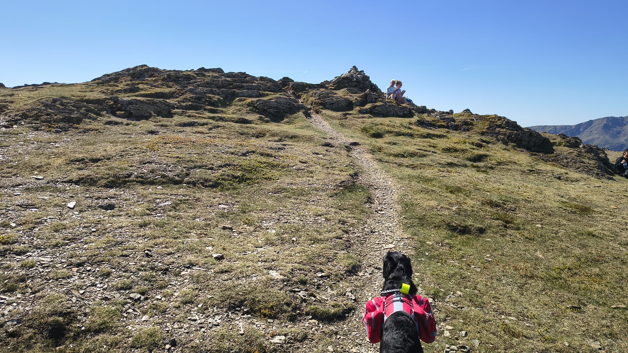 Robinson, Hindscarth May 13, 2025 - Image 7