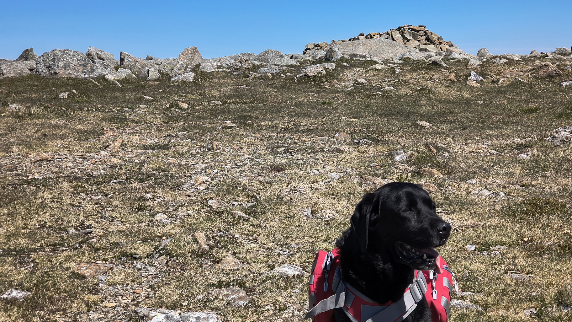 Robinson, Hindscarth May 13, 2025 - Image 9