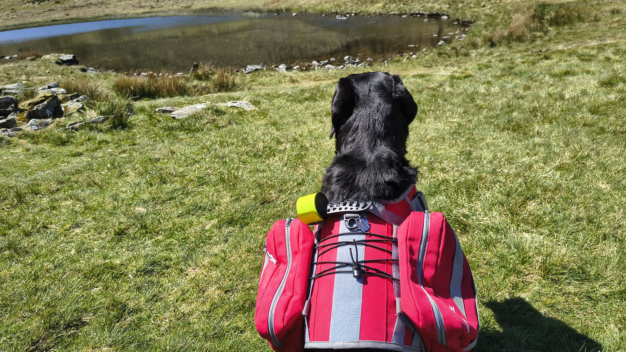 Robinson, Hindscarth May 13, 2025 - Image 12