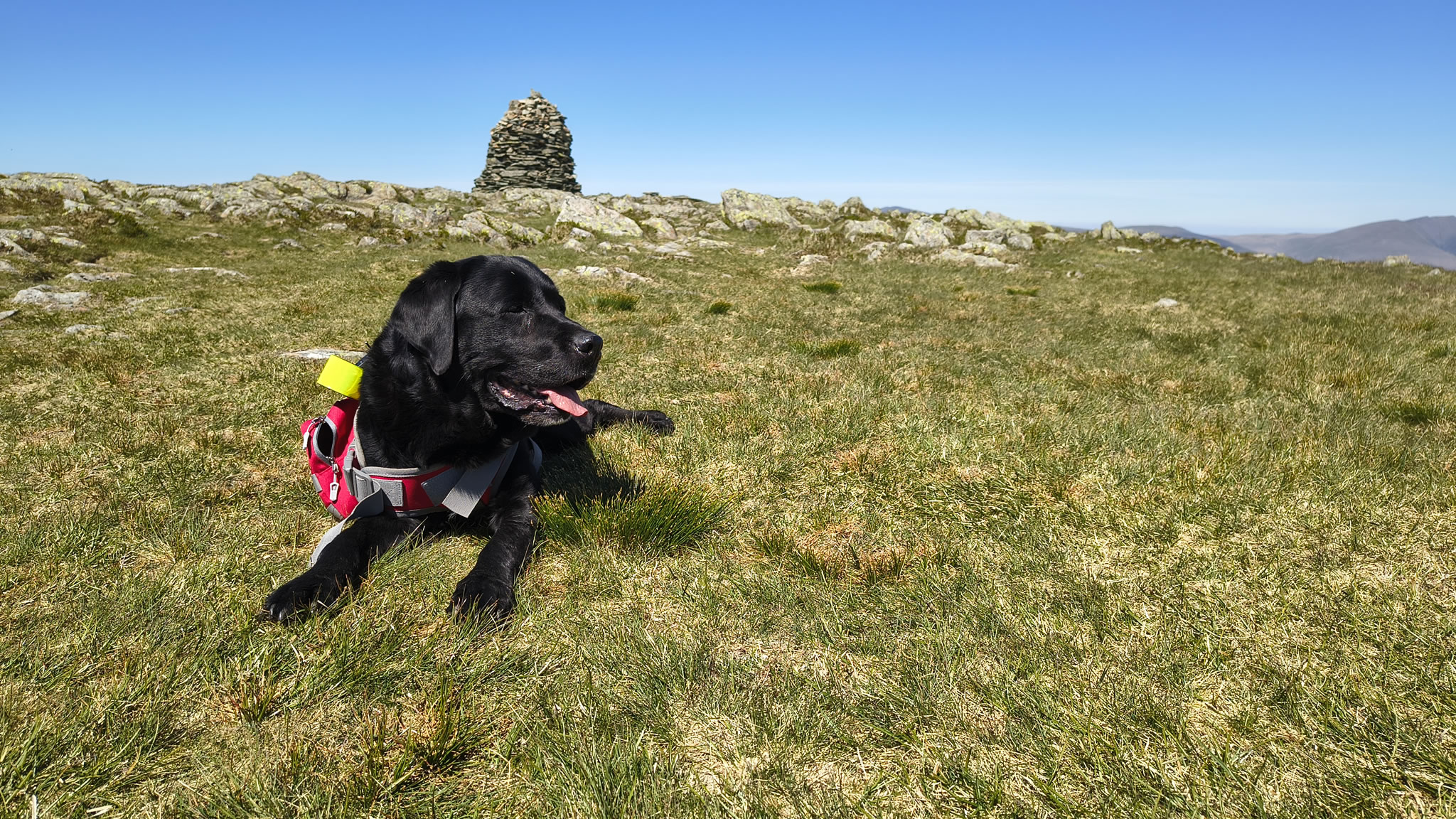 Robinson, Hindscarth May 13, 2025 - Image 13