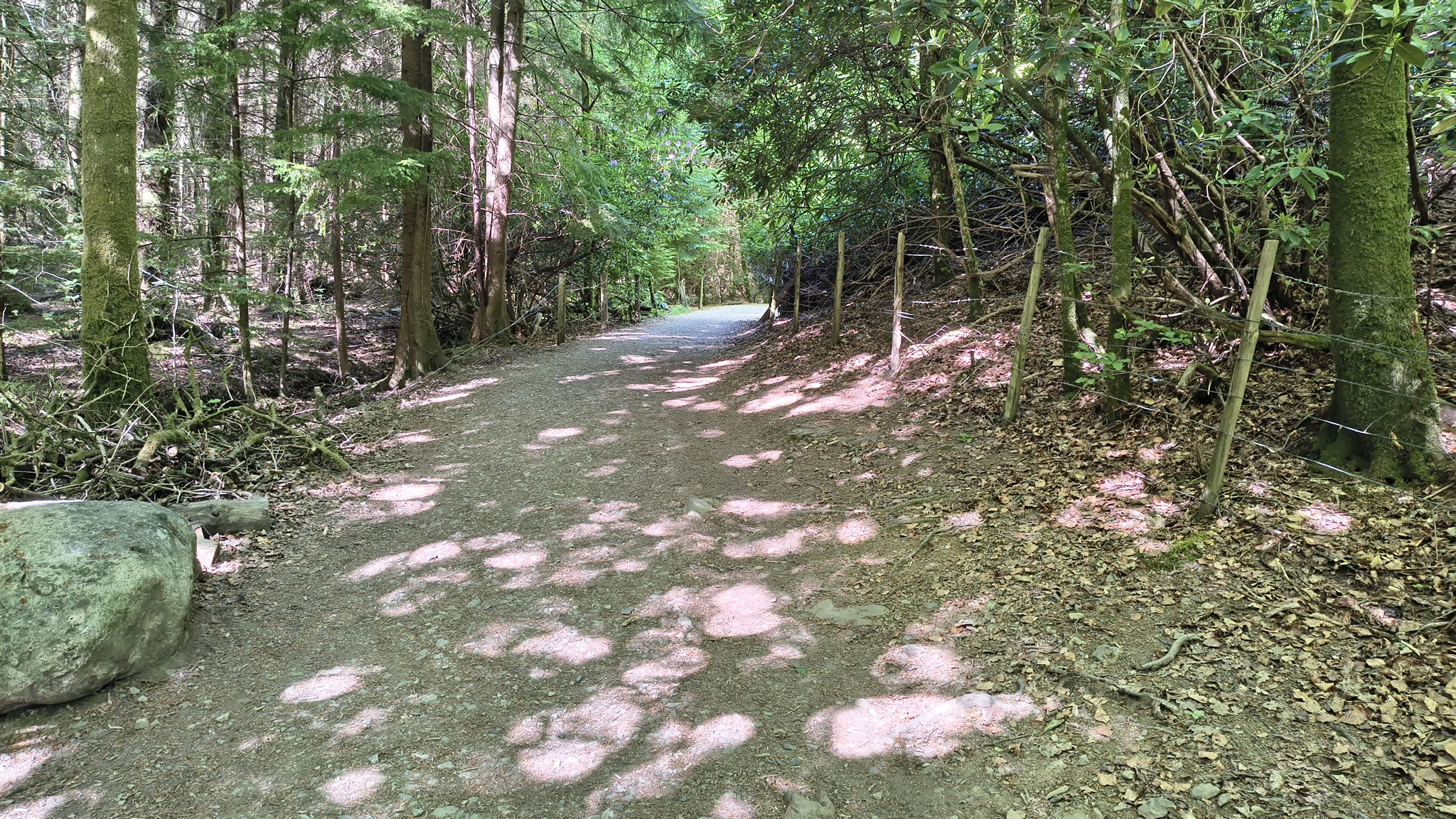 Robinson, Hindscarth May 13, 2025 - Image 18