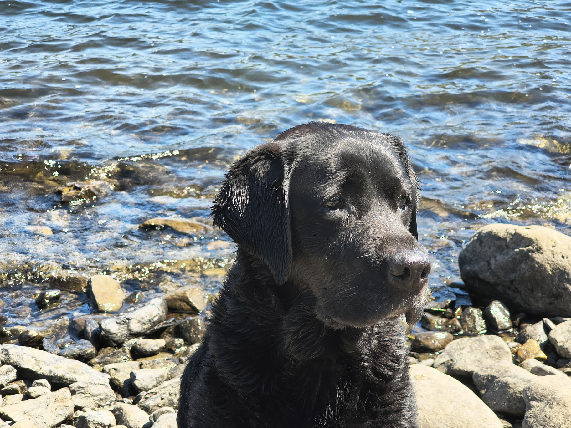 Derwent Water May 14, 2025 - May 15, 2025 - Image 5