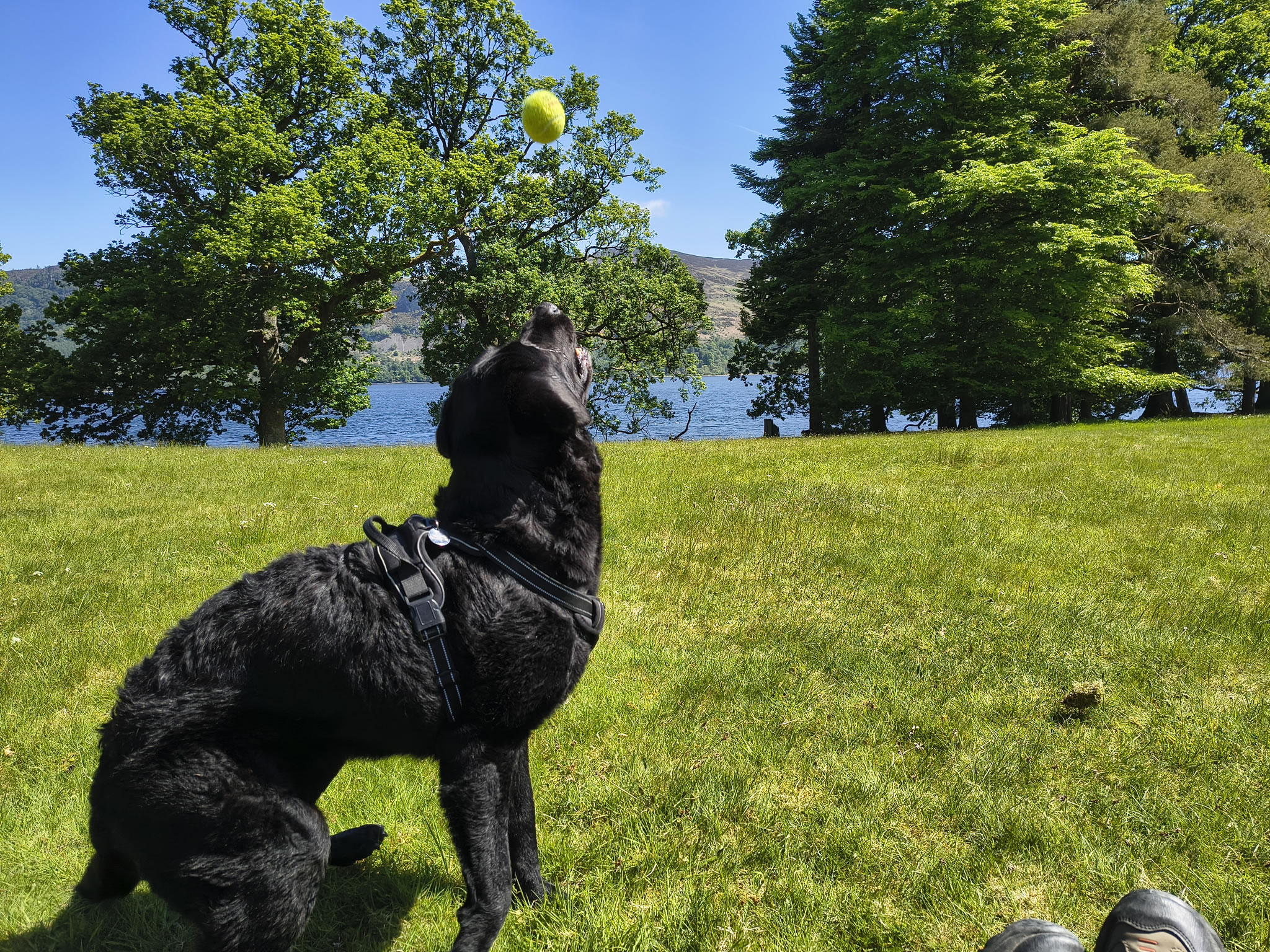 Derwent Water May 14, 2025 - May 15, 2025 - Image 6