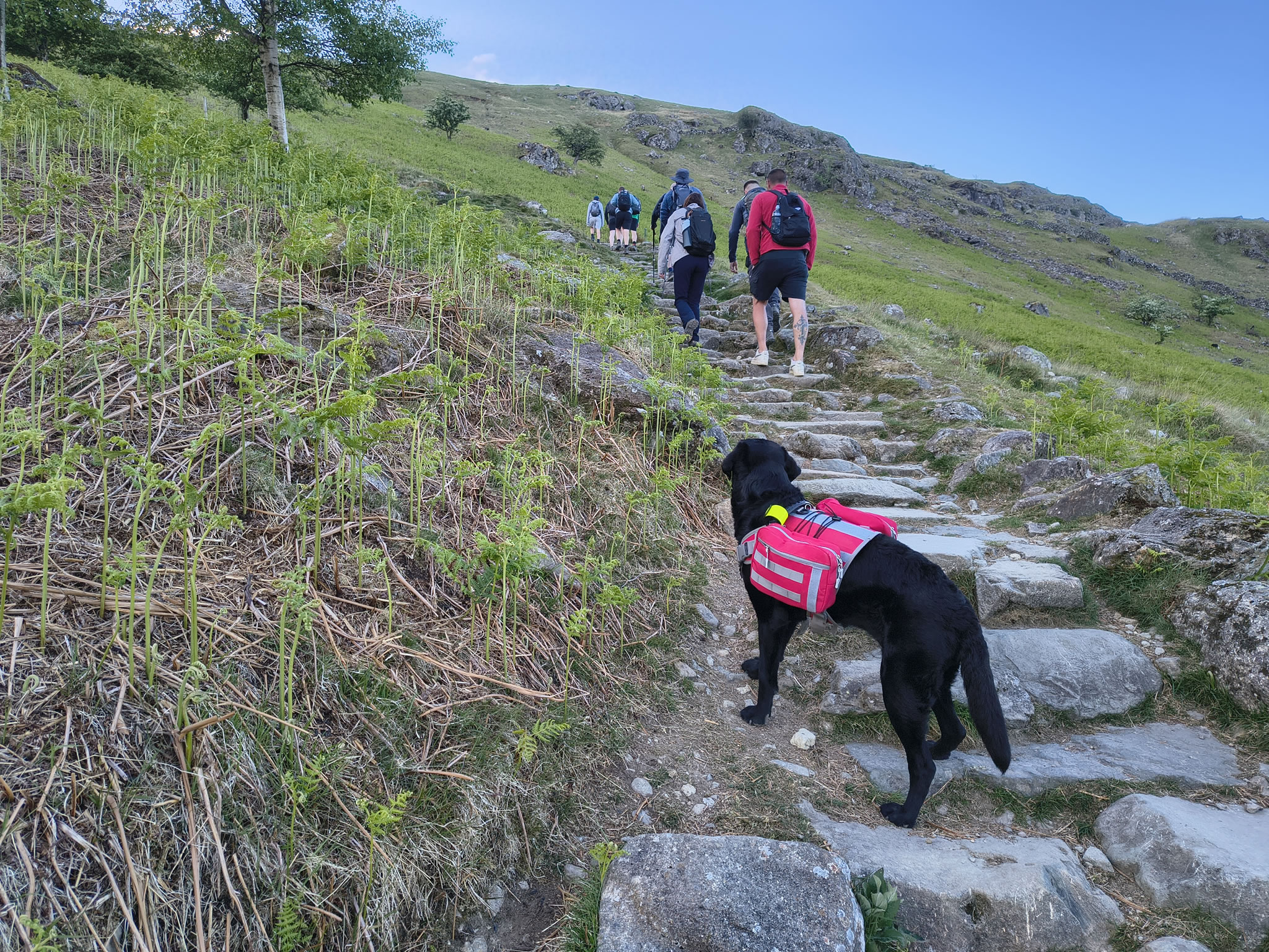 Helvellyn May 17, 2025 - Image 4