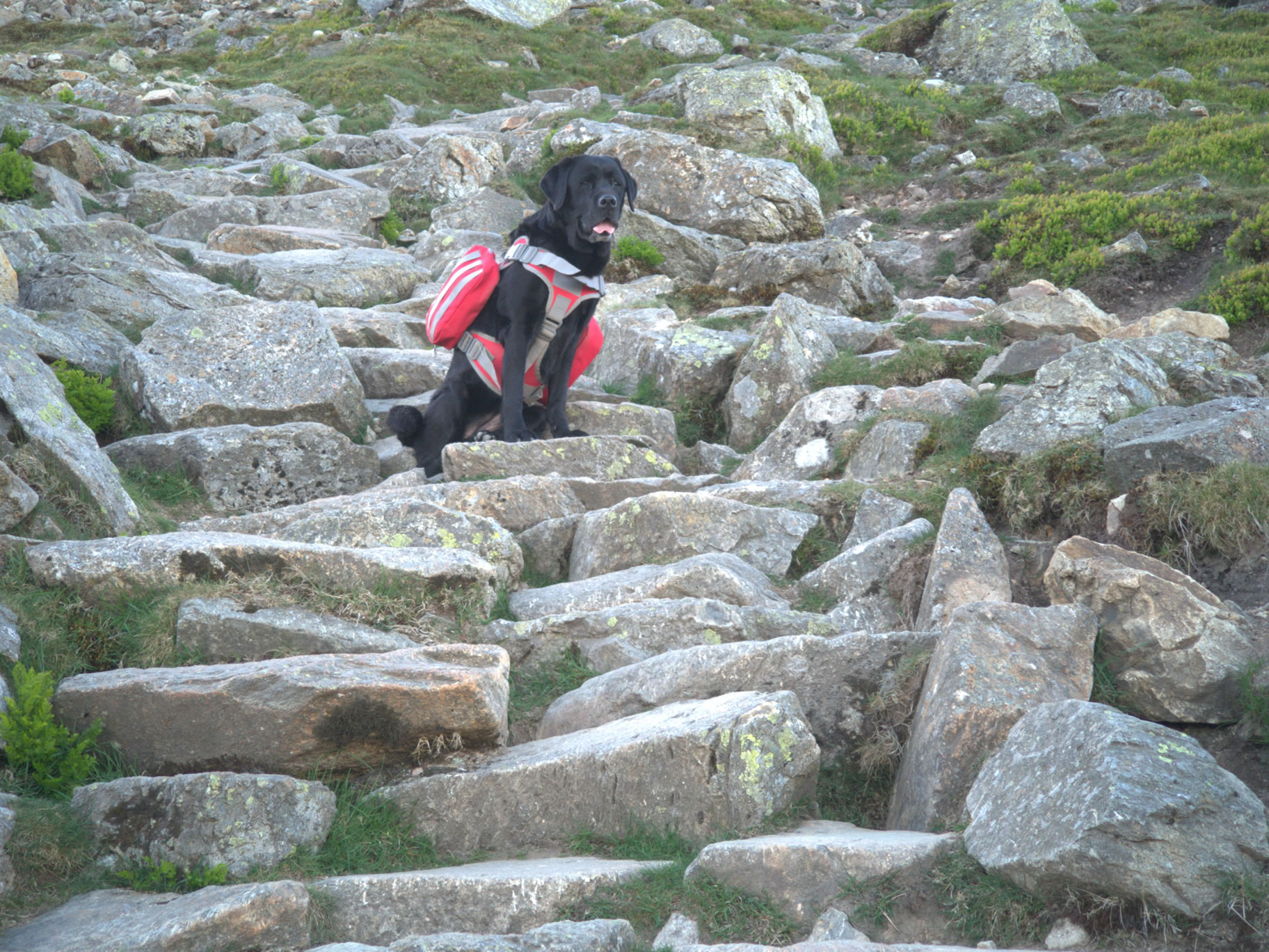 Helvellyn May 17, 2025 - Image 6