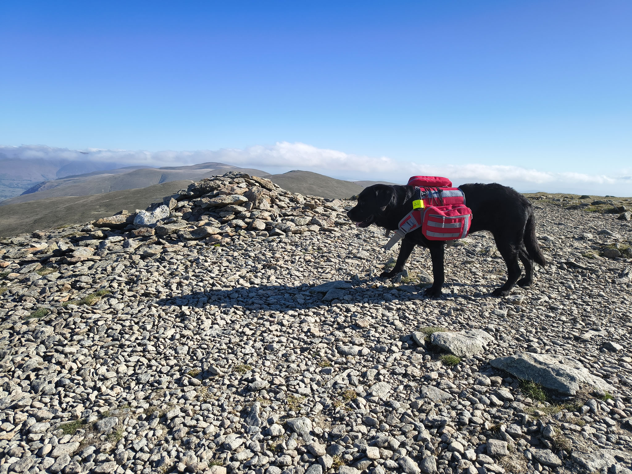 Helvellyn May 17, 2025 - Image 8