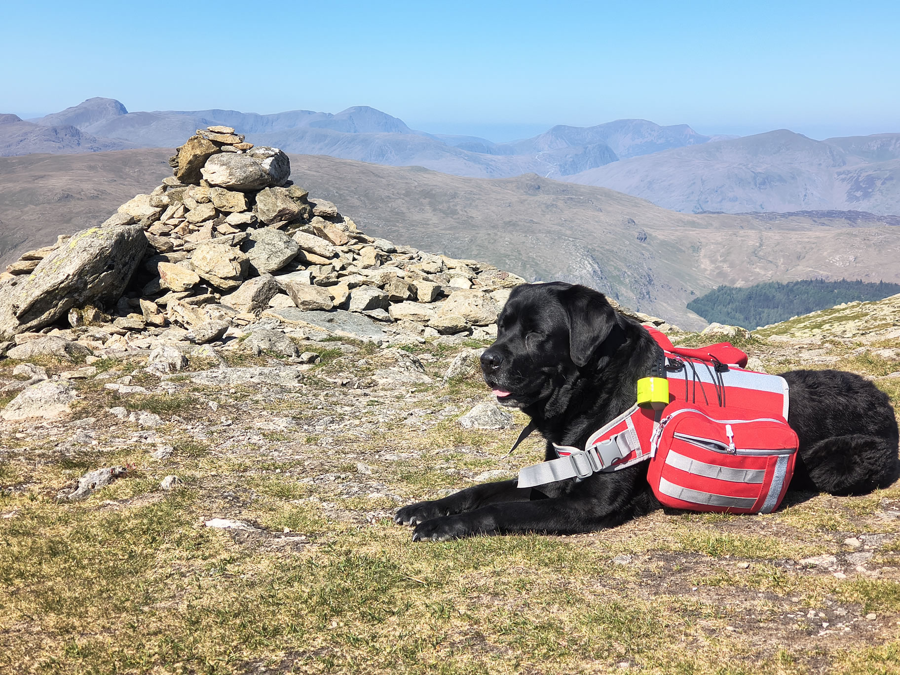 Helvellyn May 17, 2025 - Image 10