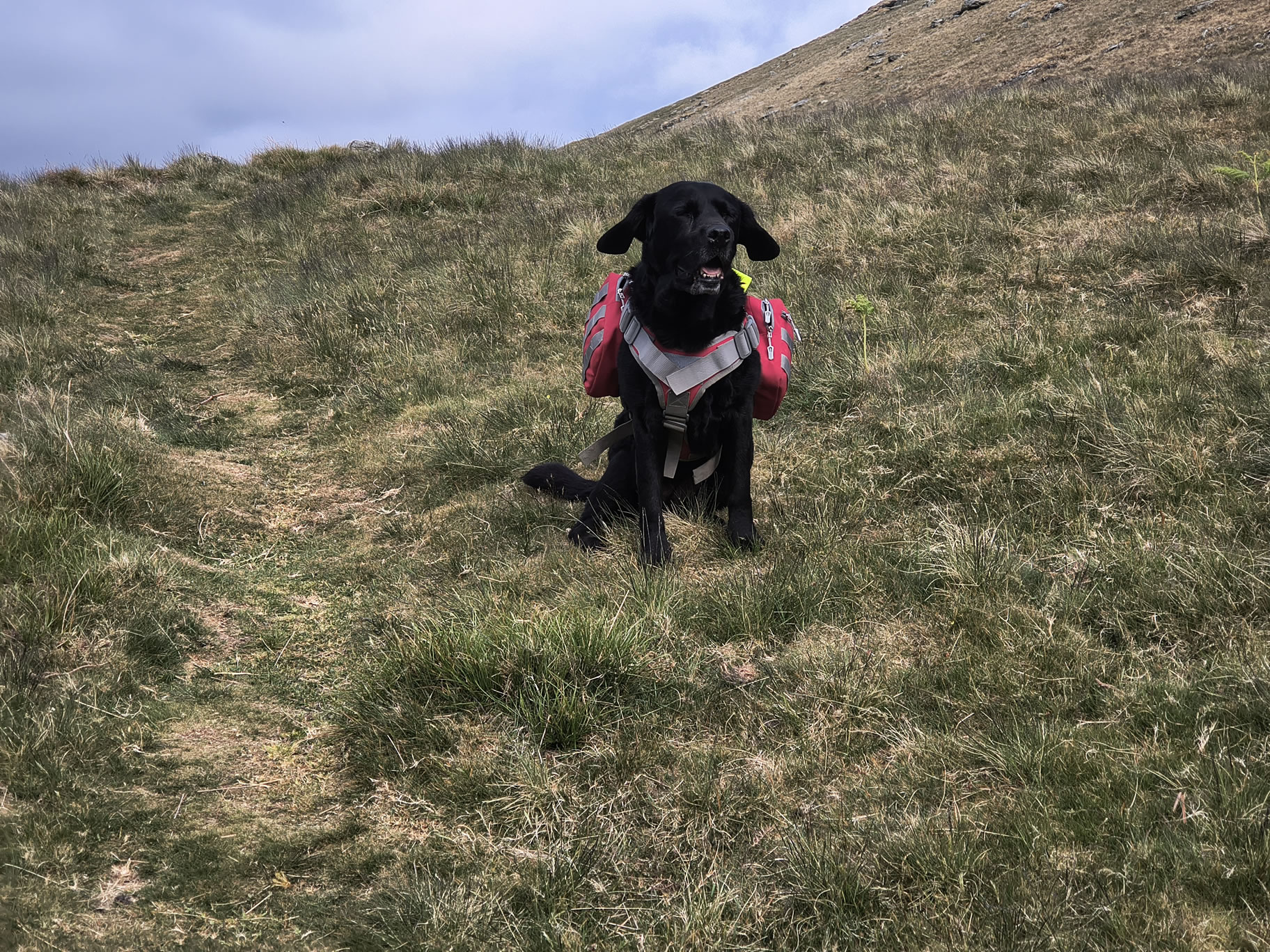 Blencathra May 19, 2025 - Image 3