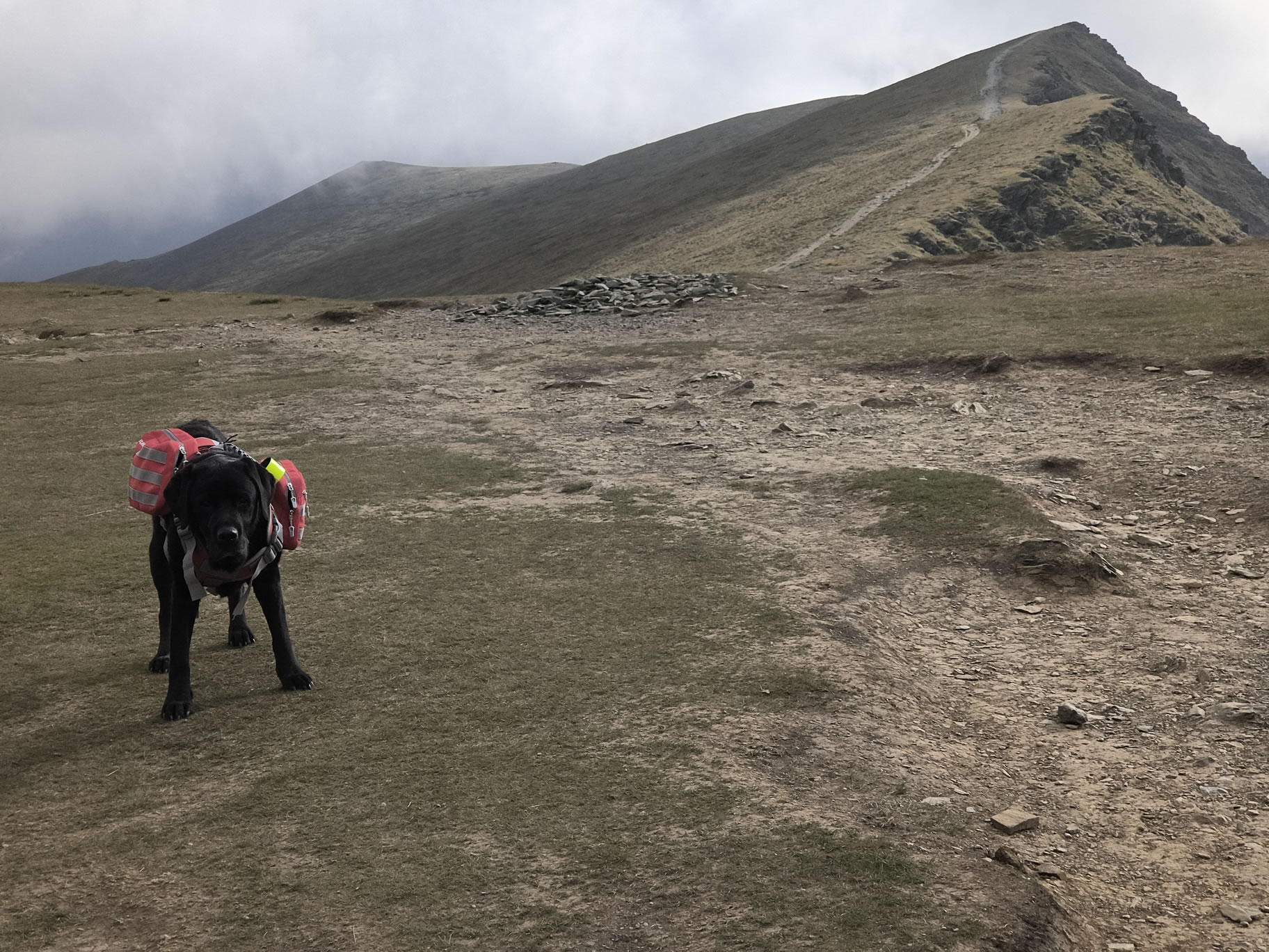 Blencathra May 19, 2025 - Image 5