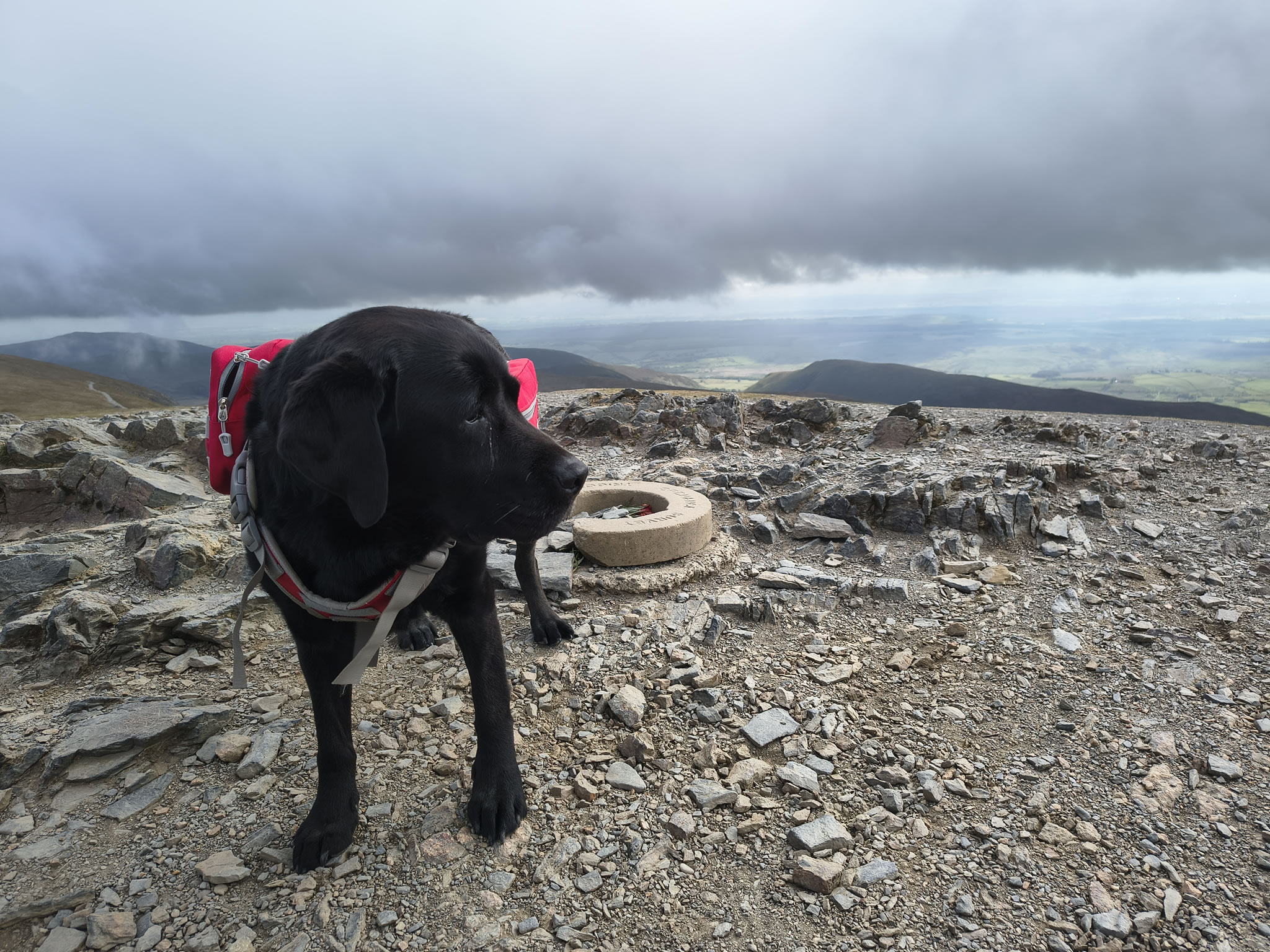 Blencathra May 19, 2025 - Image 8