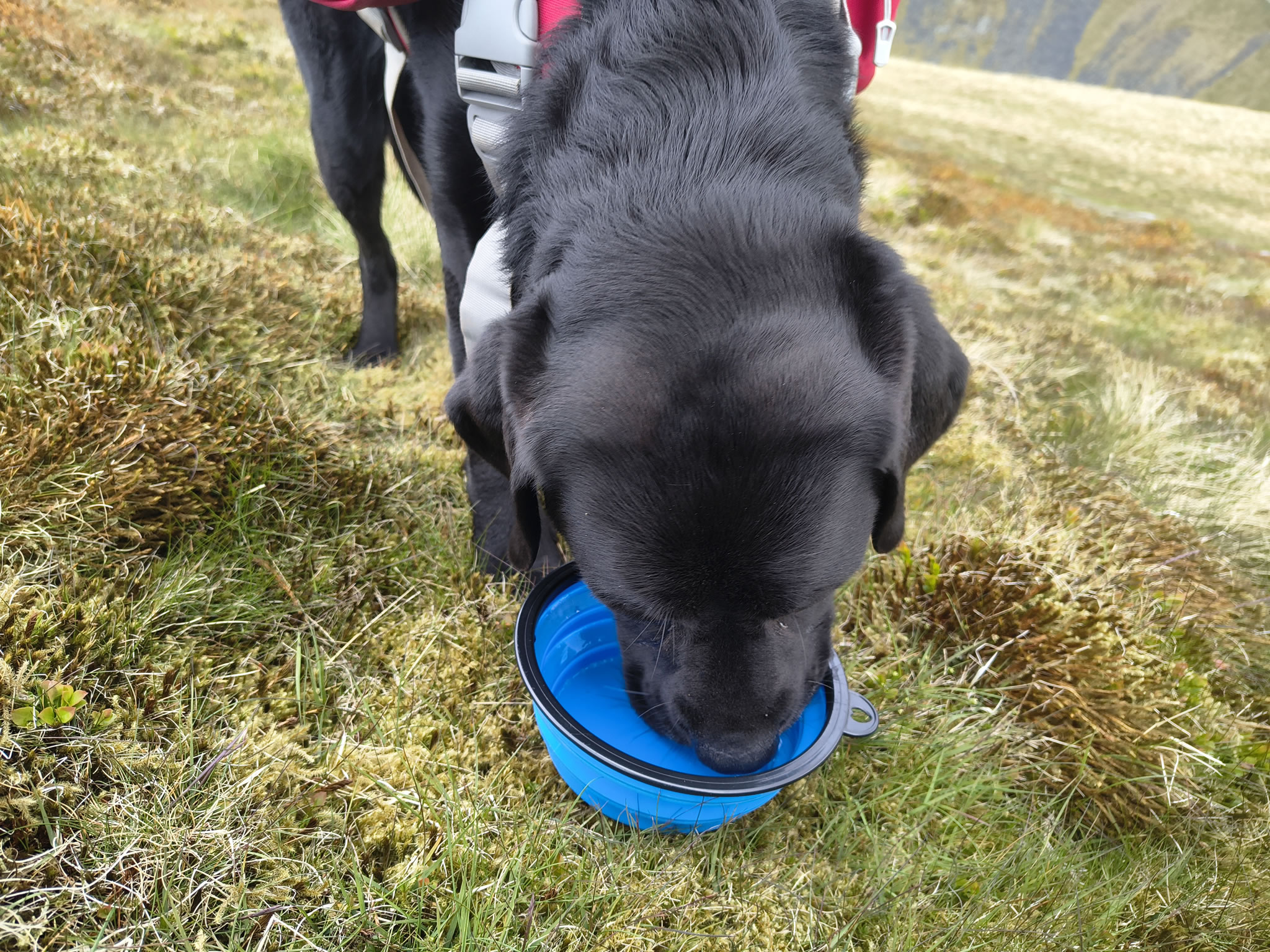 Blencathra May 19, 2025 - Image 11