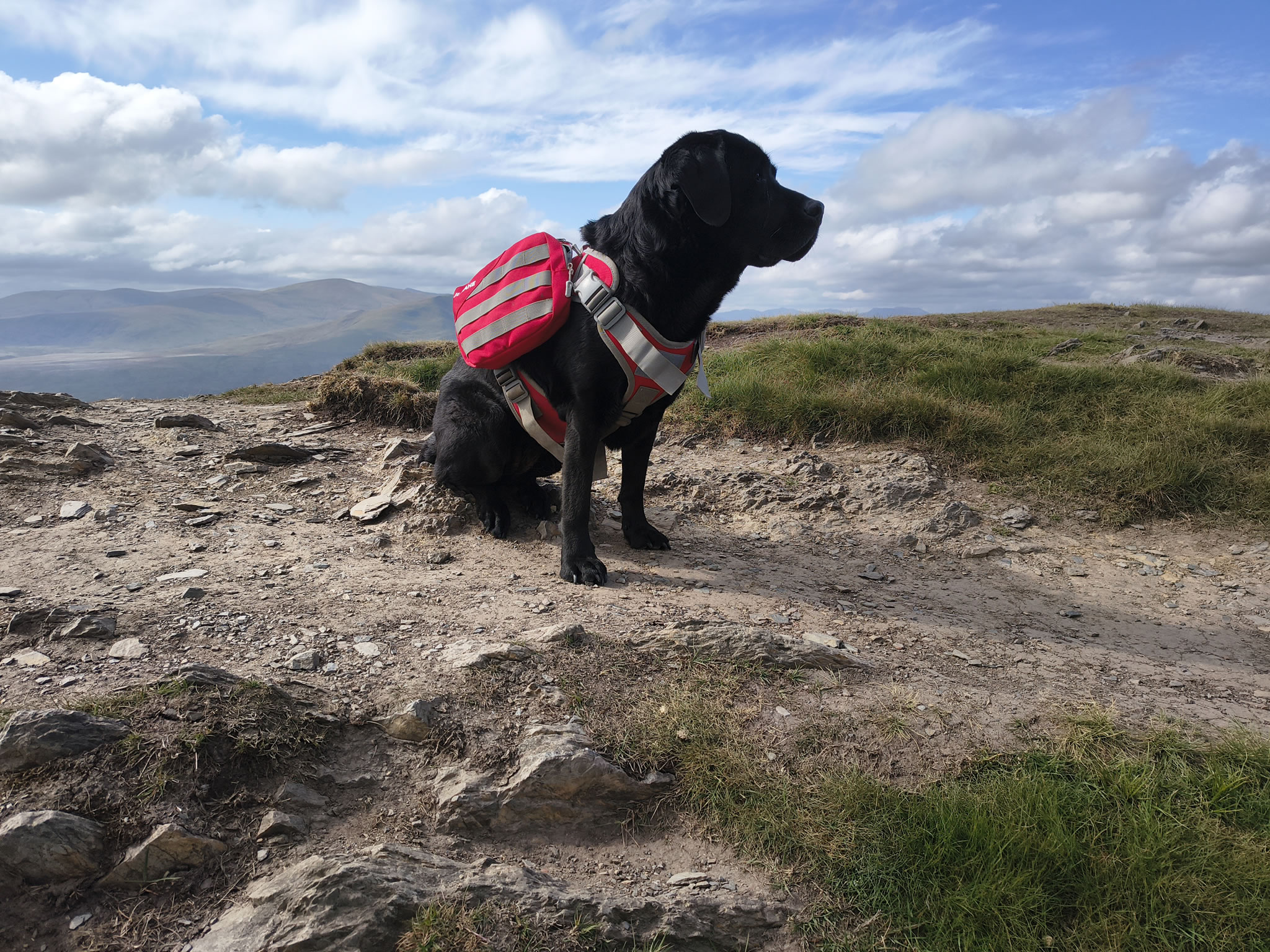 Blencathra May 19, 2025 - Image 13