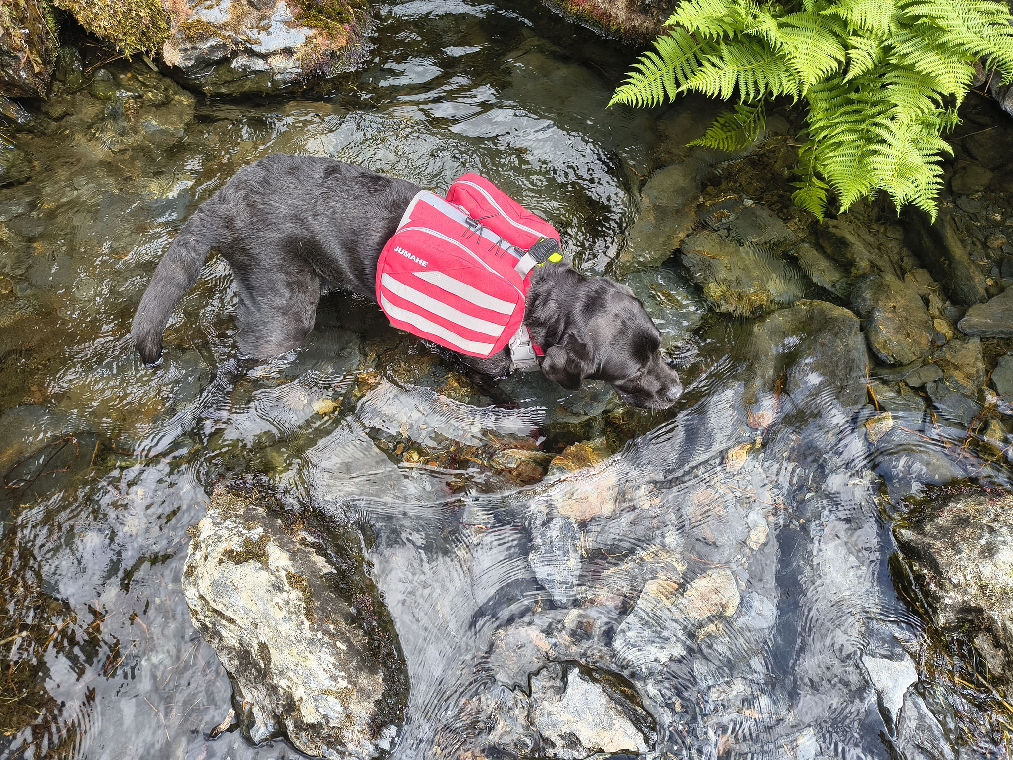 Blencathra May 19, 2025 - Image 14