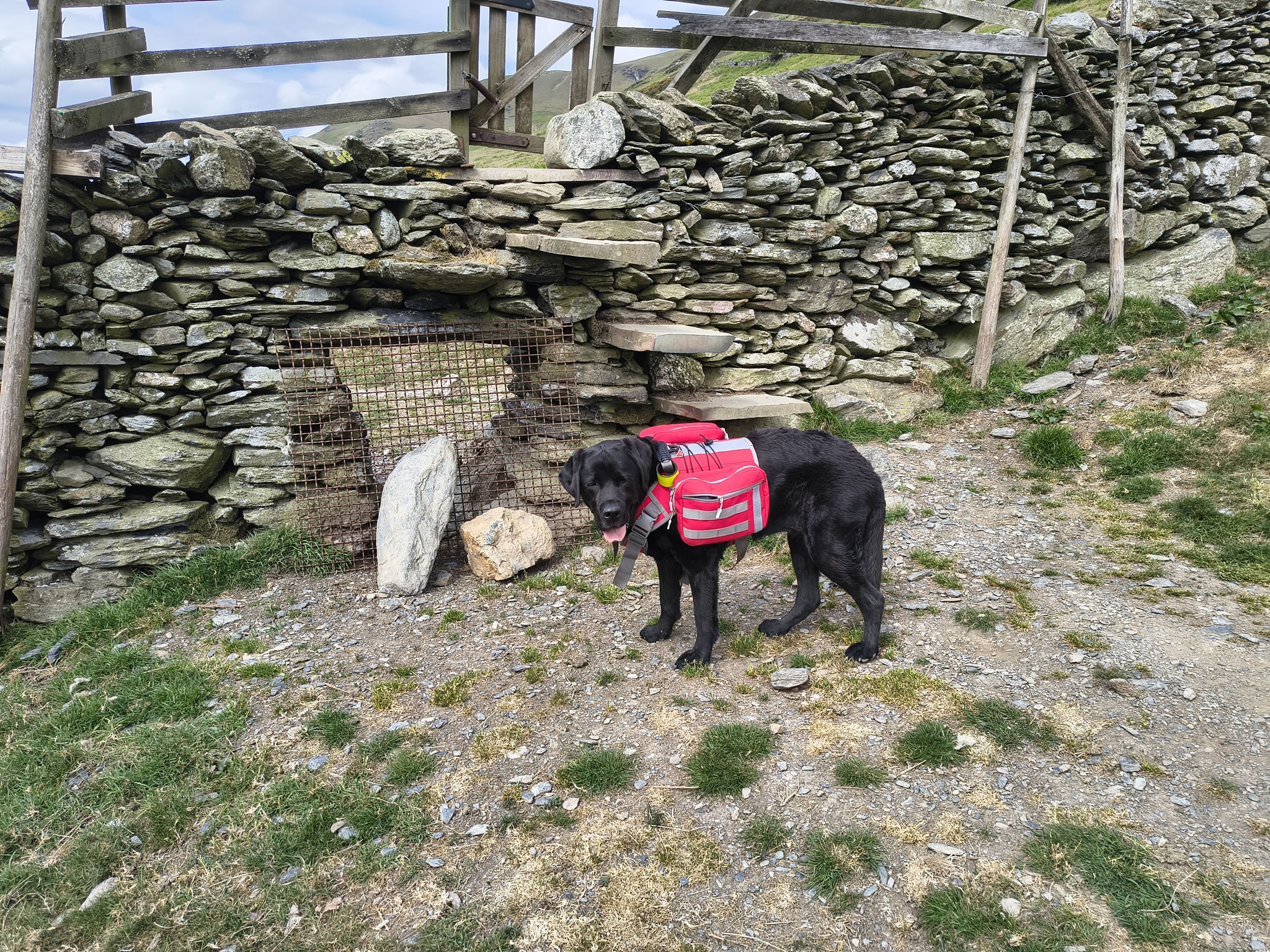 Blencathra May 19, 2025 - Image 16