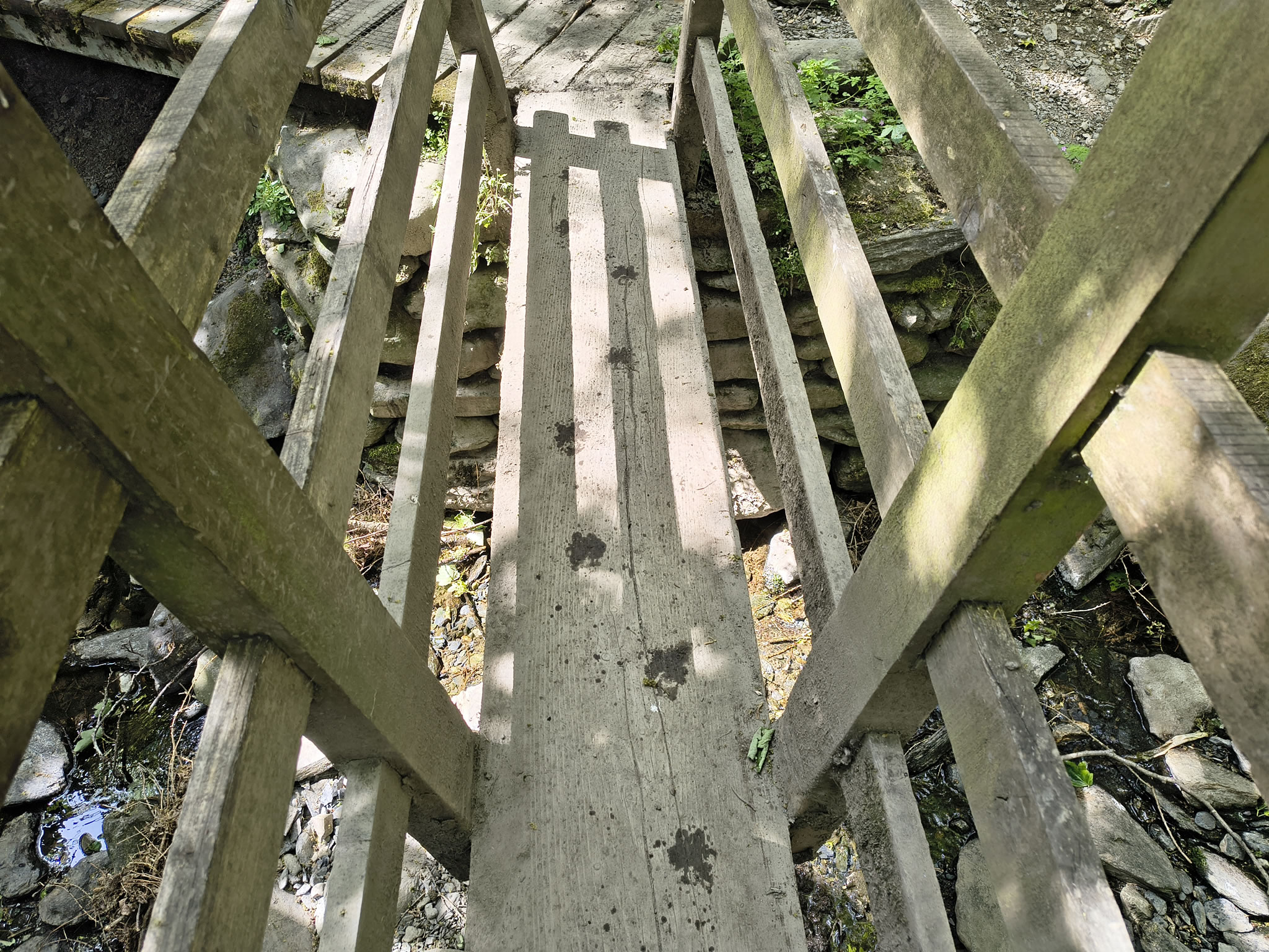 Blencathra May 19, 2025 - Image 17