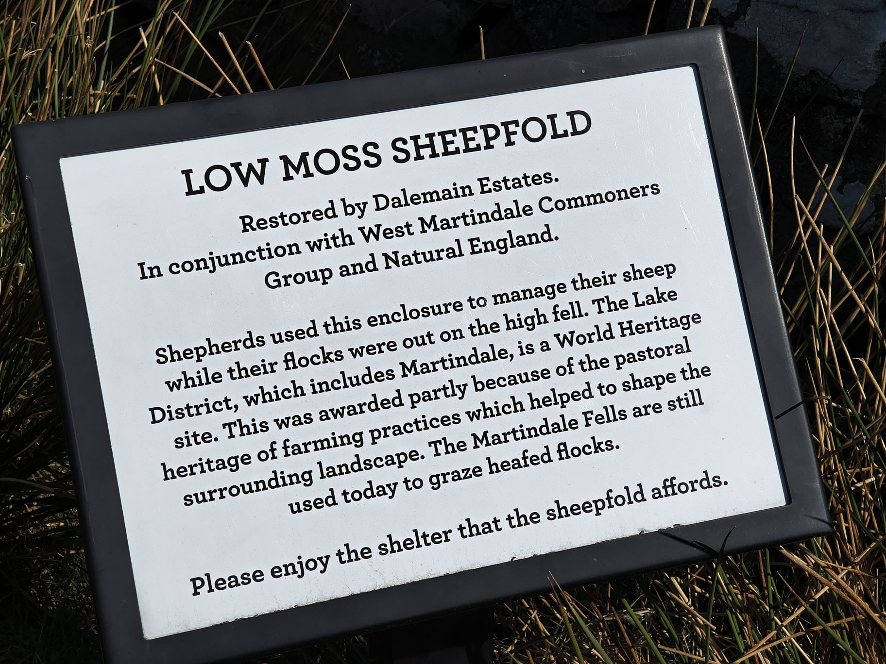 Place Fell, Ullswater May 20, 2025 - Image 7