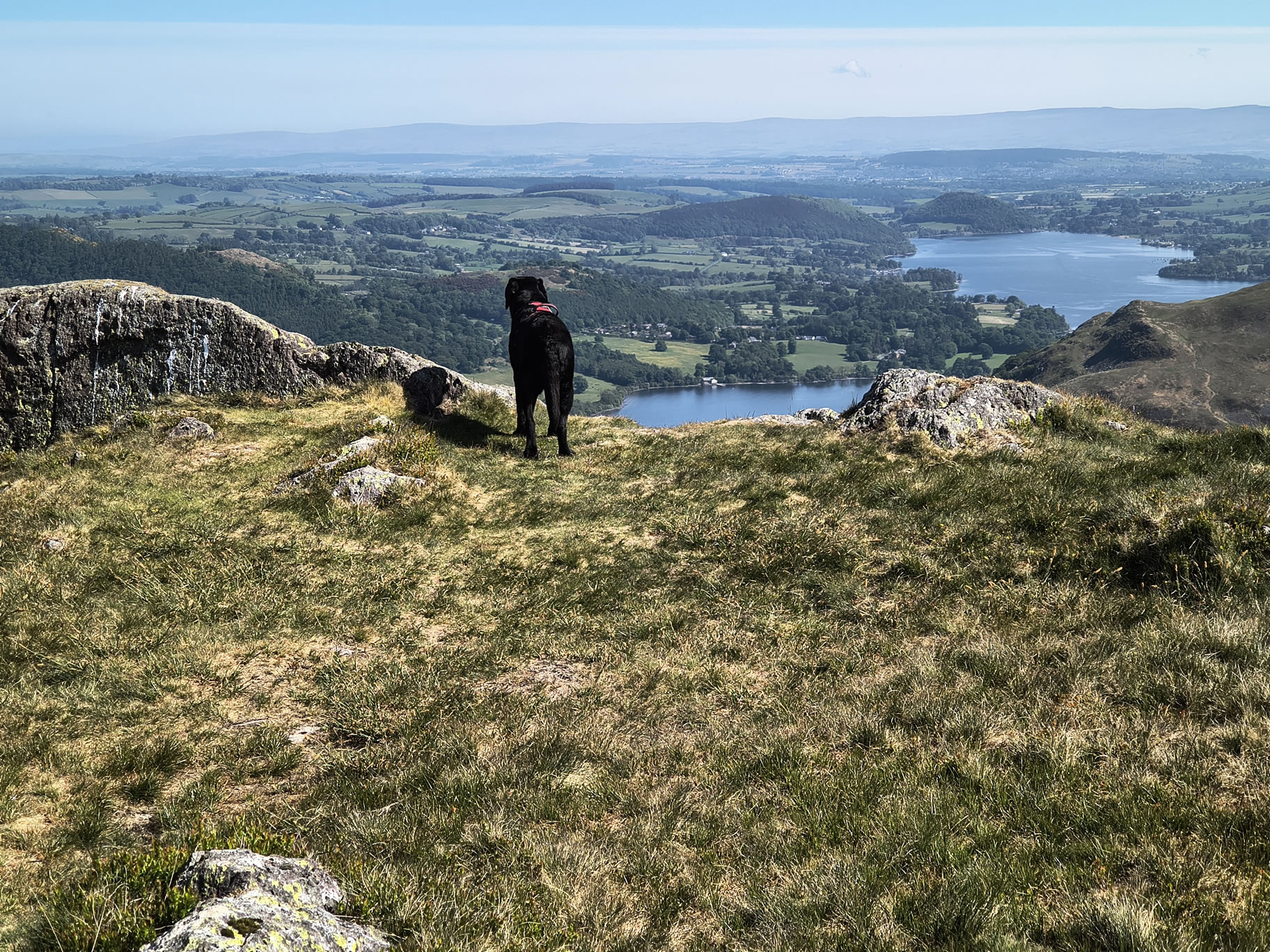 Place Fell, Ullswater May 20, 2025 - Image 8