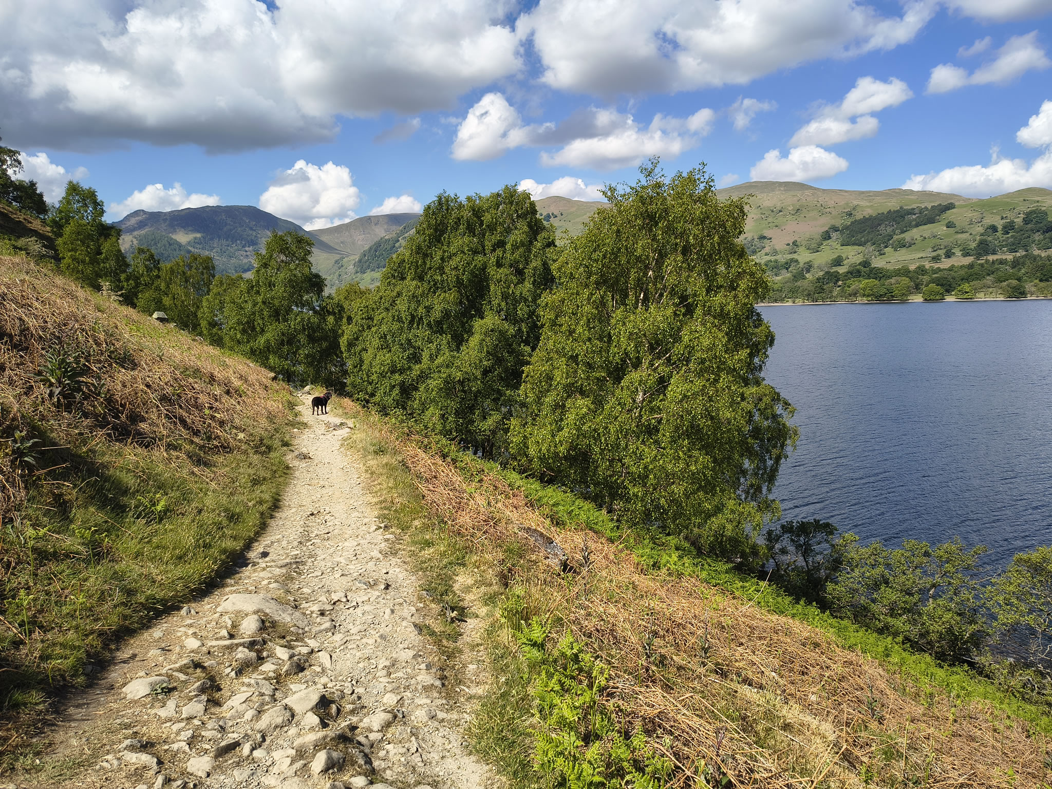 Place Fell, Ullswater May 20, 2025 - Image 11
