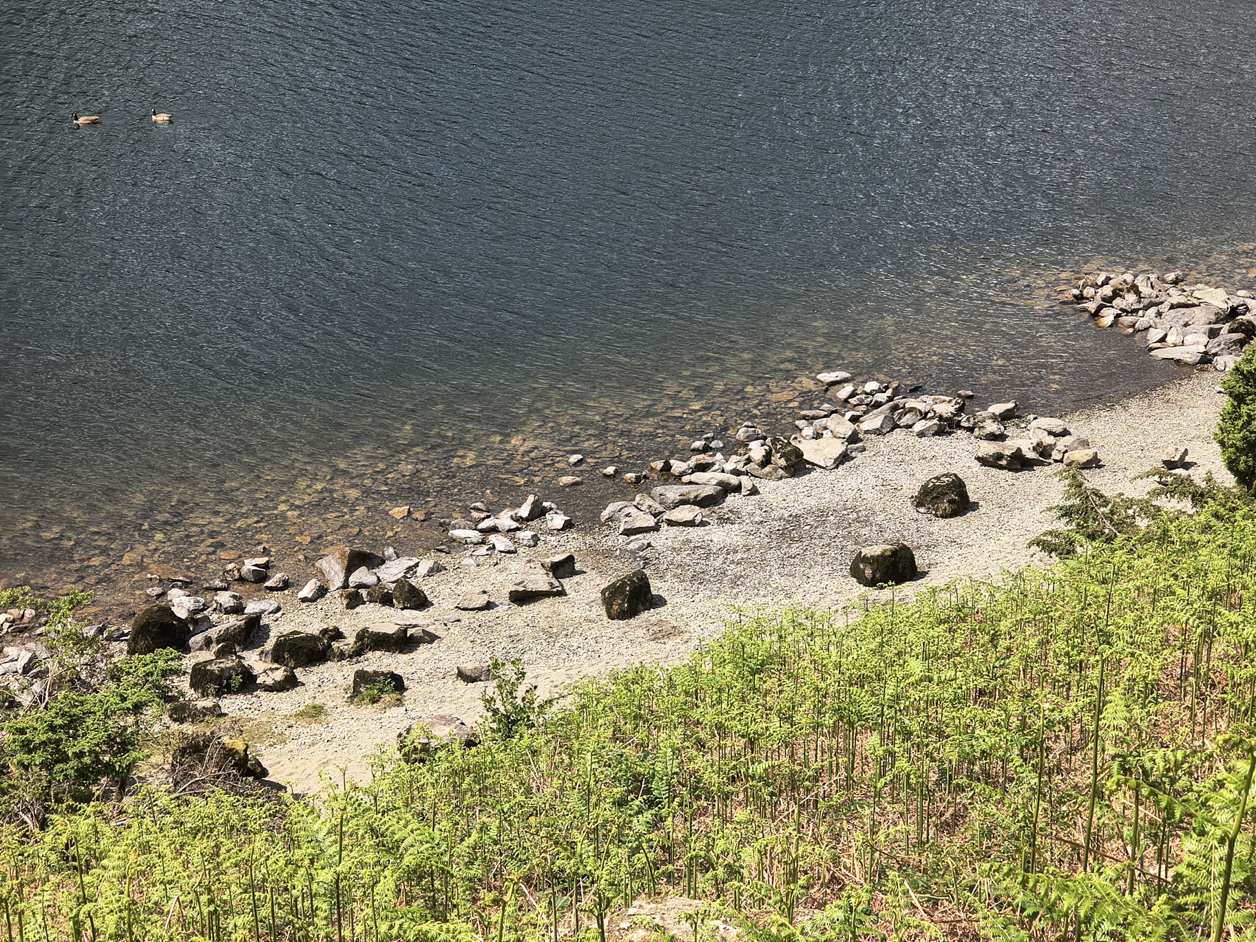Place Fell, Ullswater May 20, 2025 - Image 15