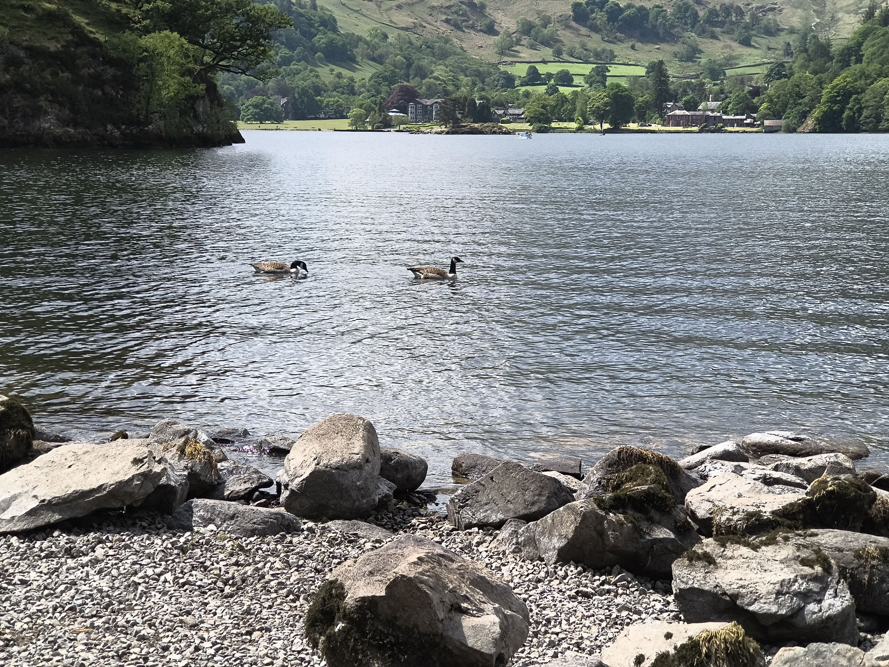 Place Fell, Ullswater May 20, 2025 - Image 16