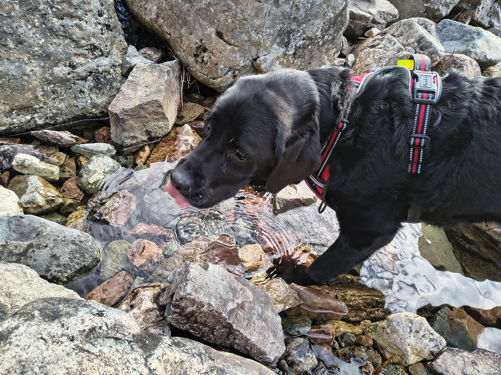 Langdale Pikes May 21, 2025 - Image 4