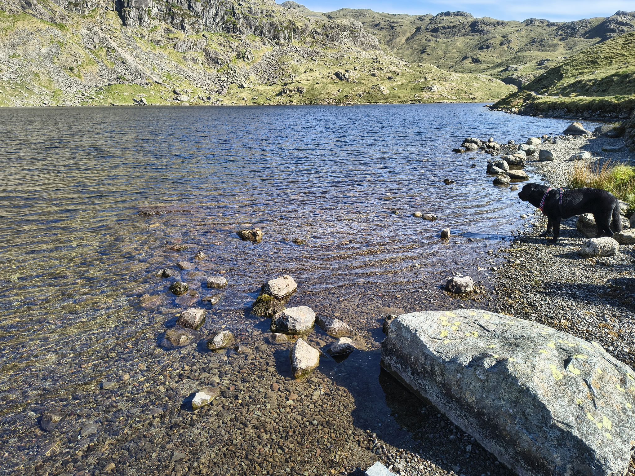 Langdale Pikes May 21, 2025 - Image 5