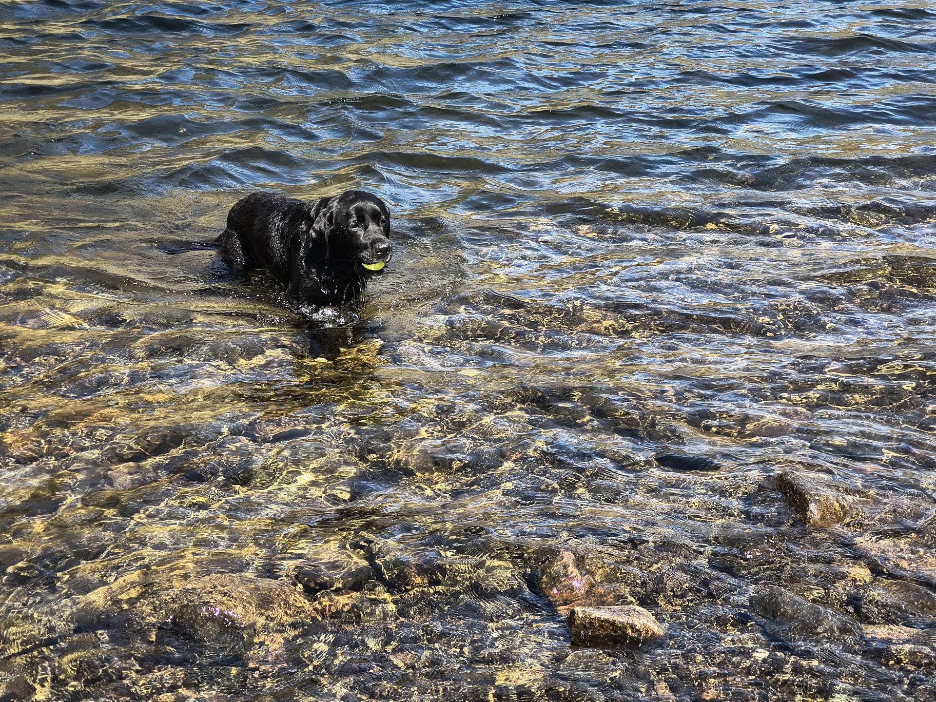 Langdale Pikes May 21, 2025 - Image 14