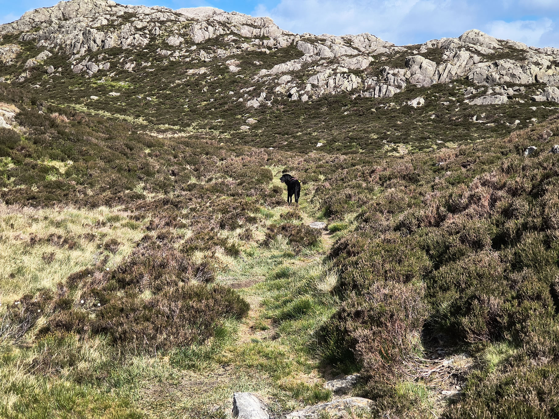 Hay Stacks - Image 7, May 23, 2025