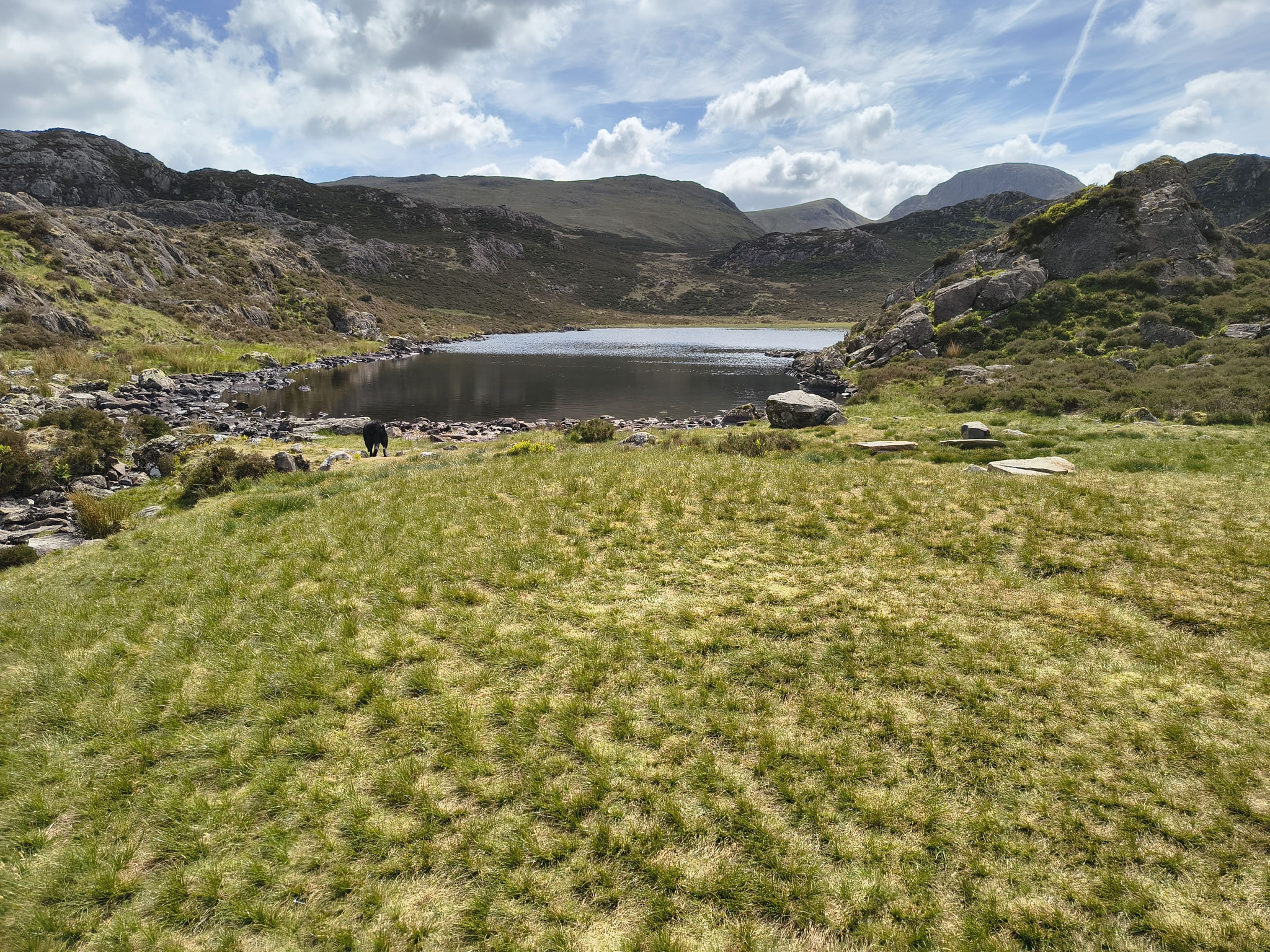 Hay Stacks - Image 12, May 23, 2025