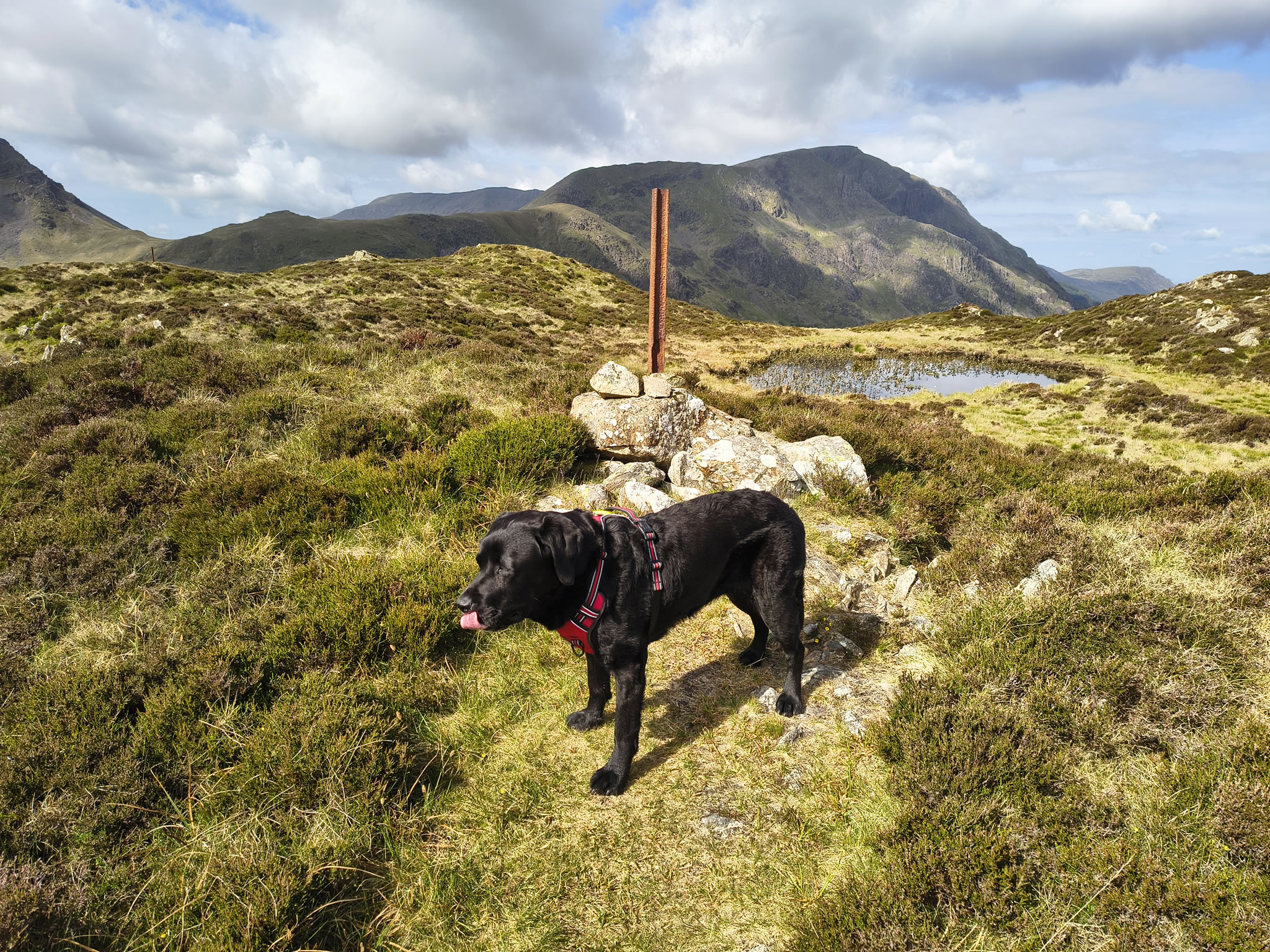 Hay Stacks [easy] May 23, 2025 - Image 6