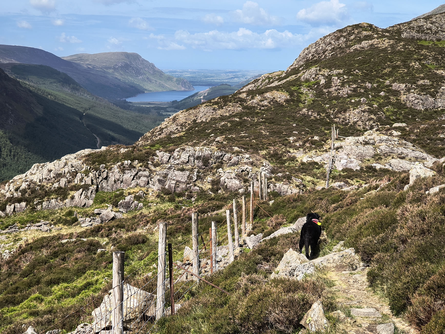 Hay Stacks [easy] May 23, 2025 - Image 9