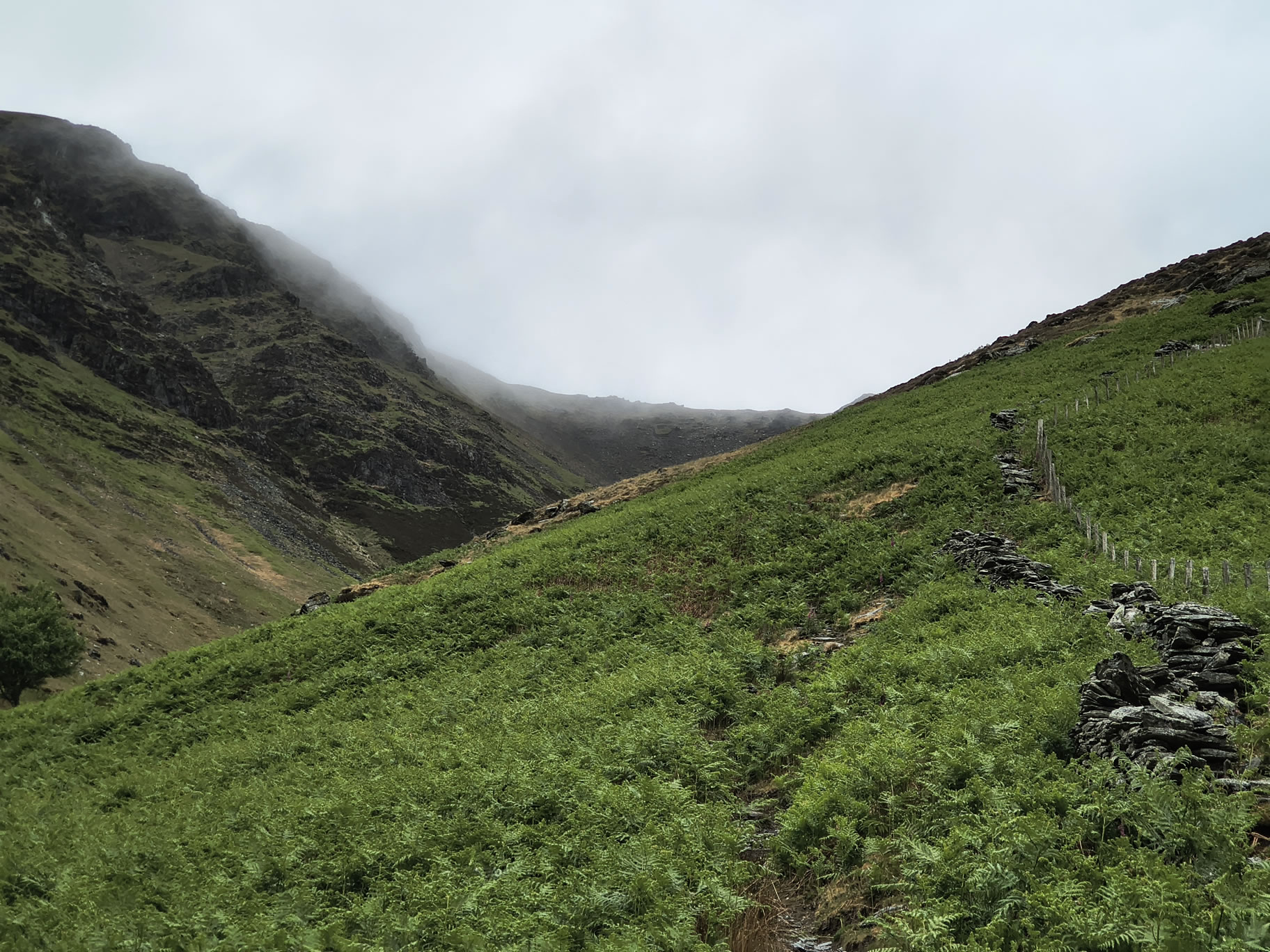 Blencathra [whiteout] May 27, 2025 - Image 3