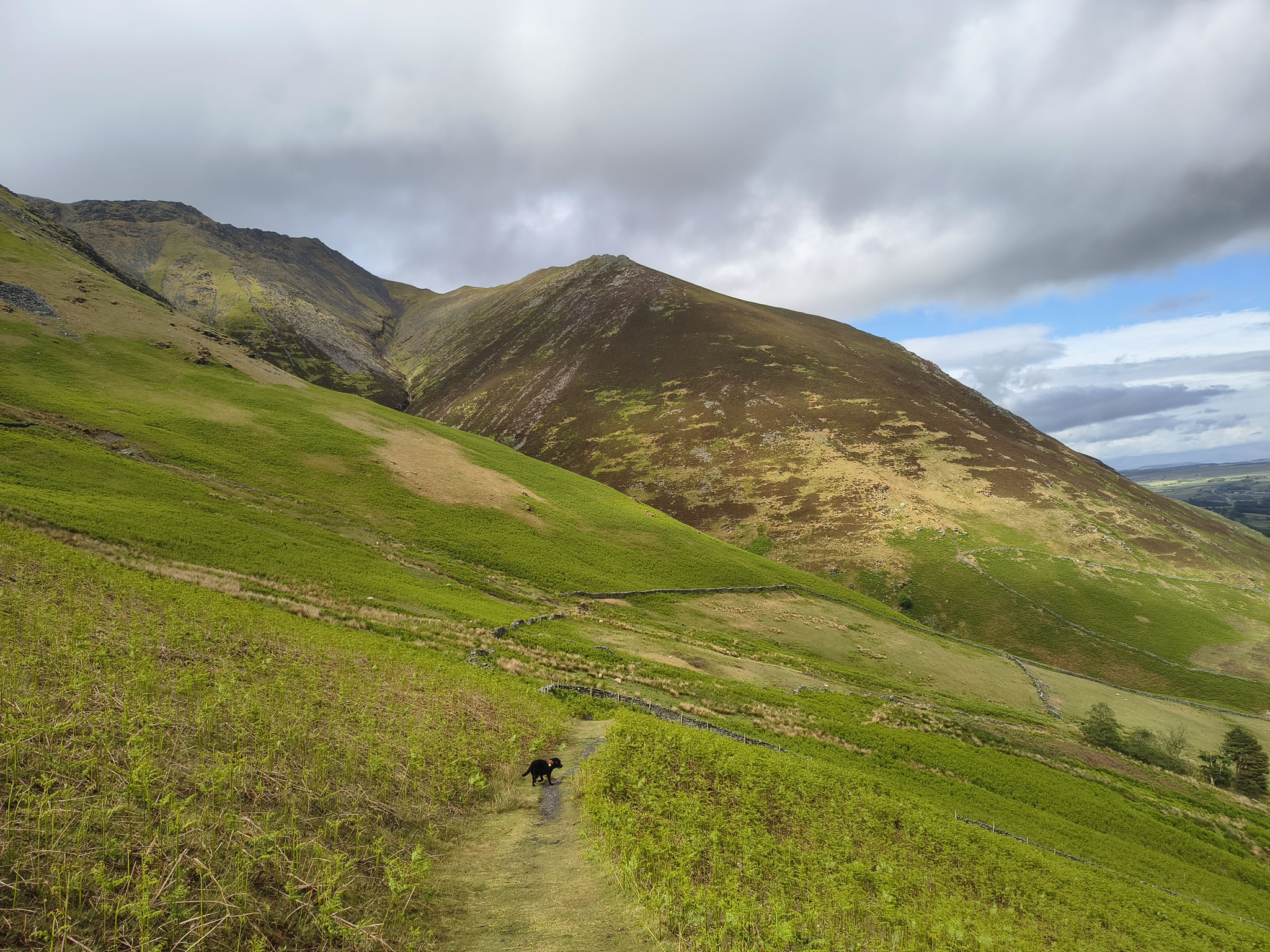 Blencathra [whiteout] May 27, 2025 - Image 17