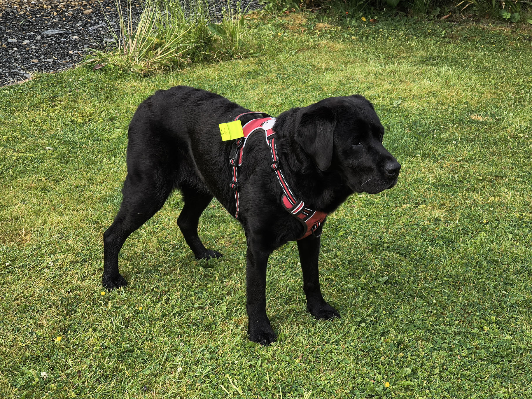 Blencathra [whiteout] May 27, 2025 - Image 20