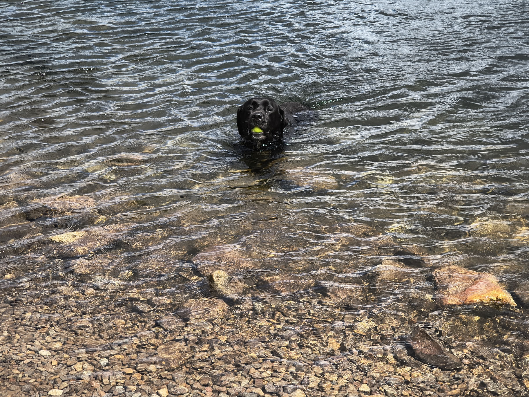 Scafell Pike May 28, 2025 - Image 25