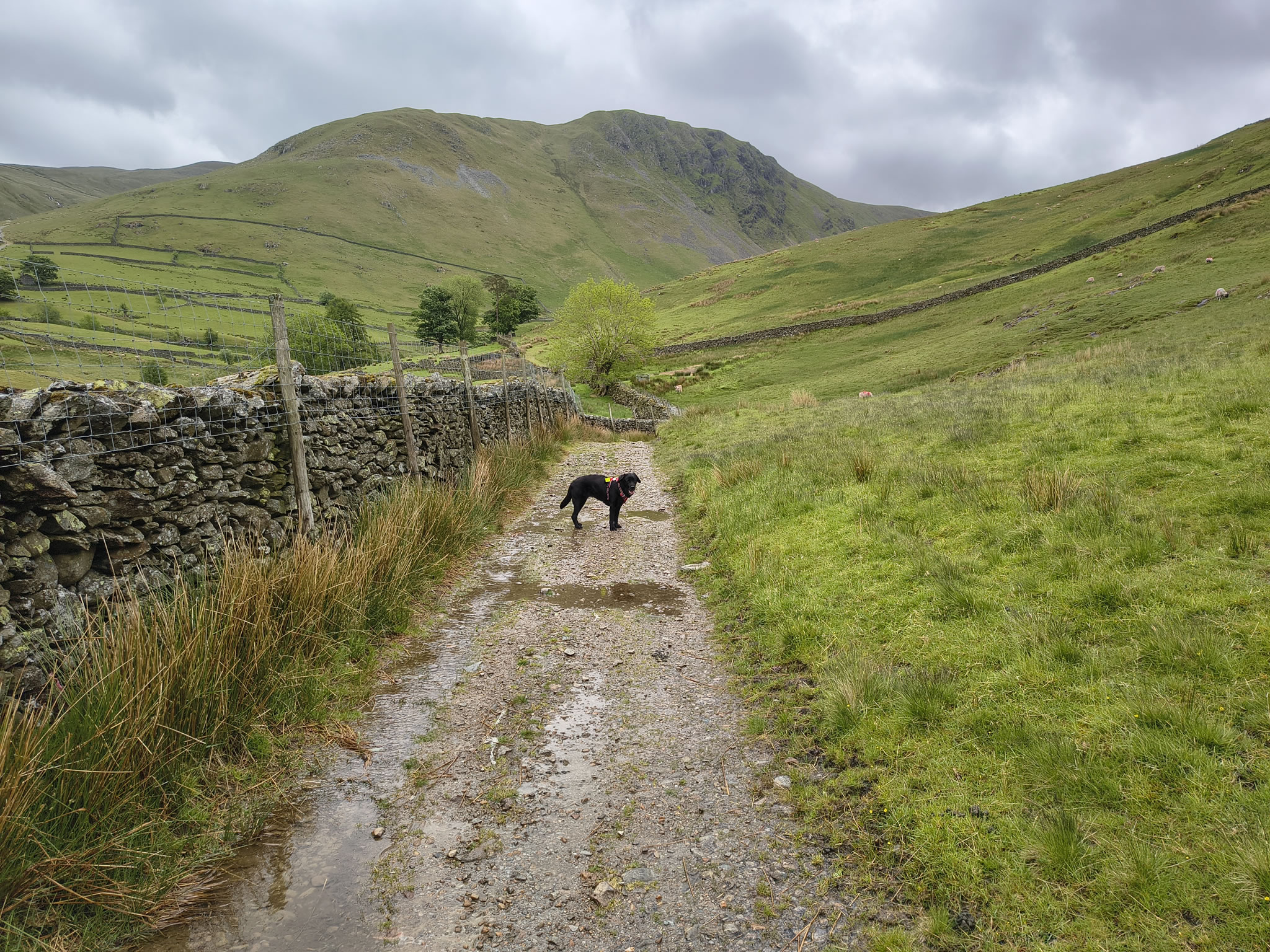 High Street May 30, 2025 - Image 3