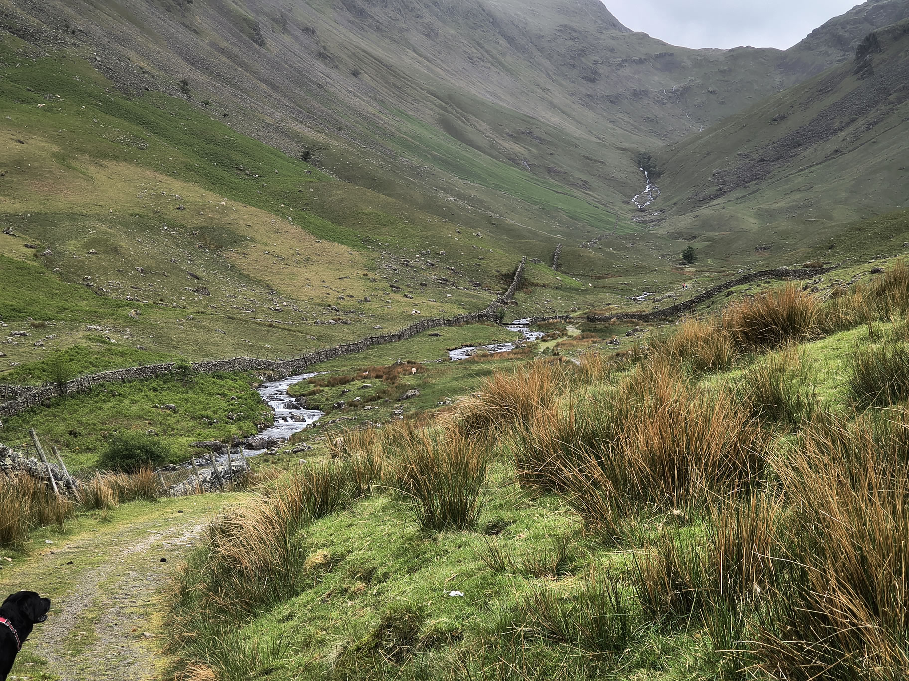 High Street May 30, 2025 - Image 4