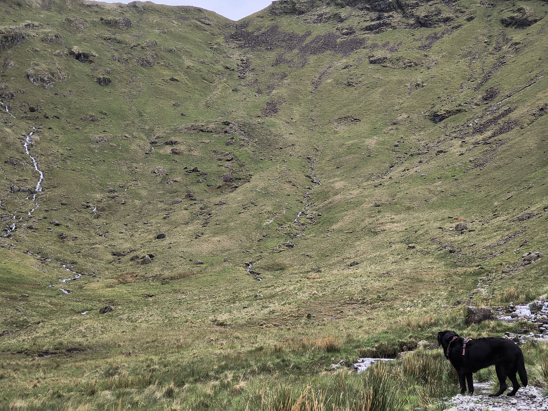 High Street May 30, 2025 - Image 5