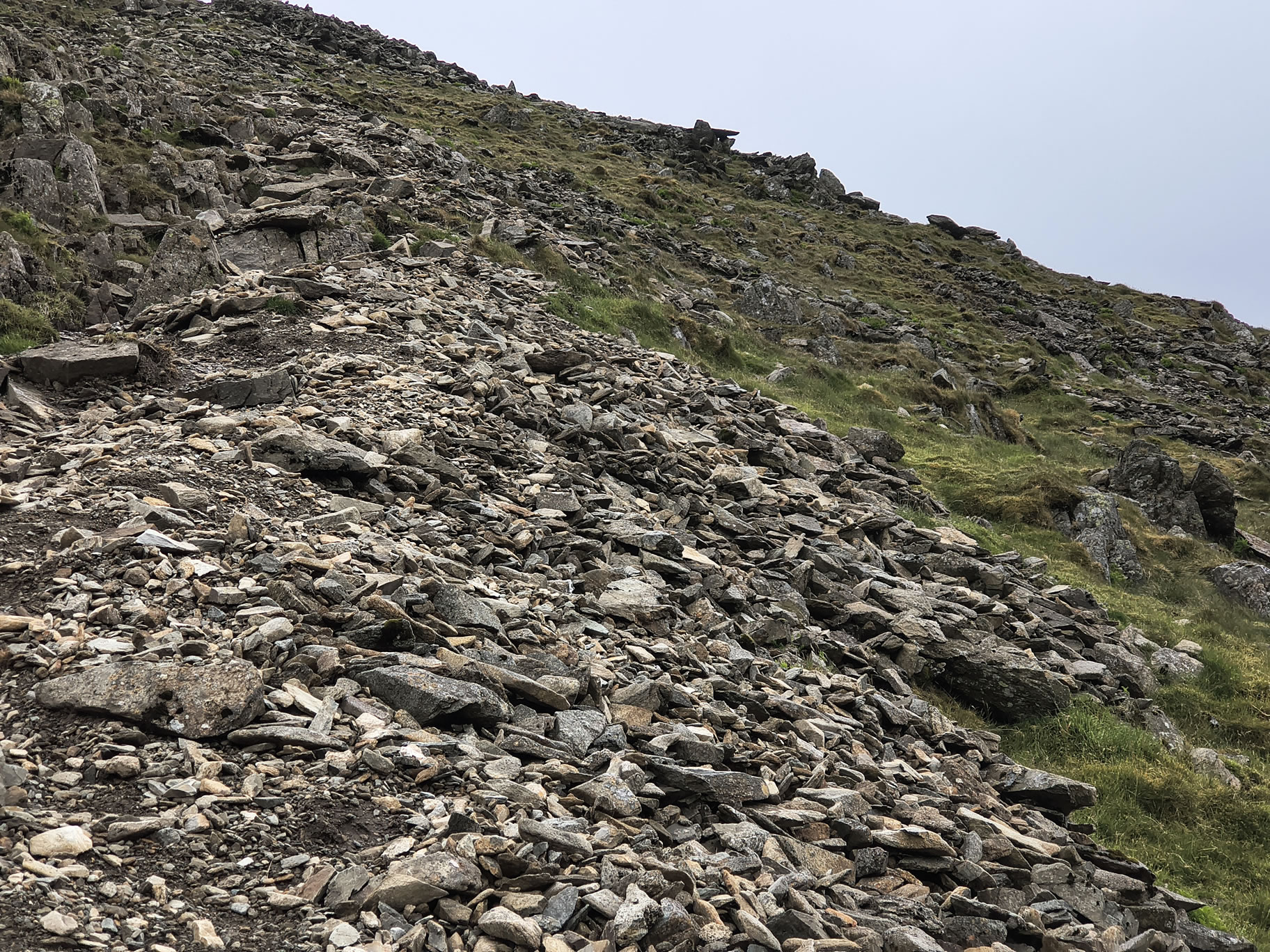 High Street May 30, 2025 - Image 8