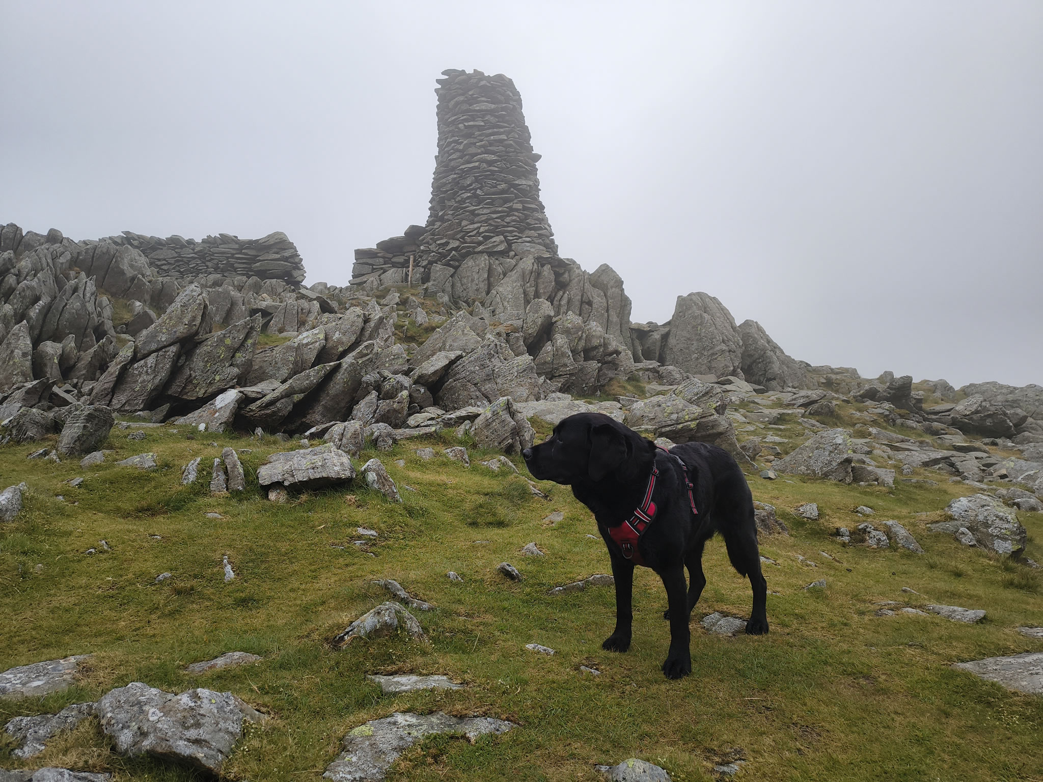 High Street May 30, 2025 - Image 9