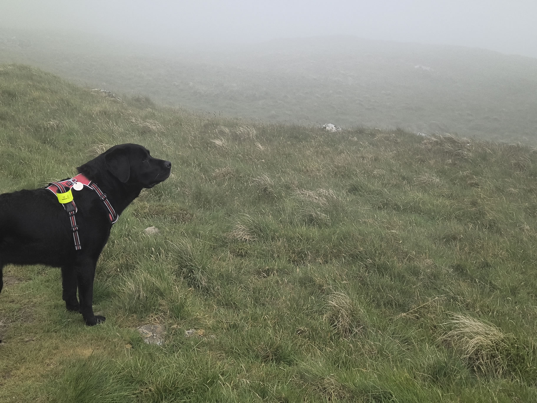 High Street May 30, 2025 - Image 11