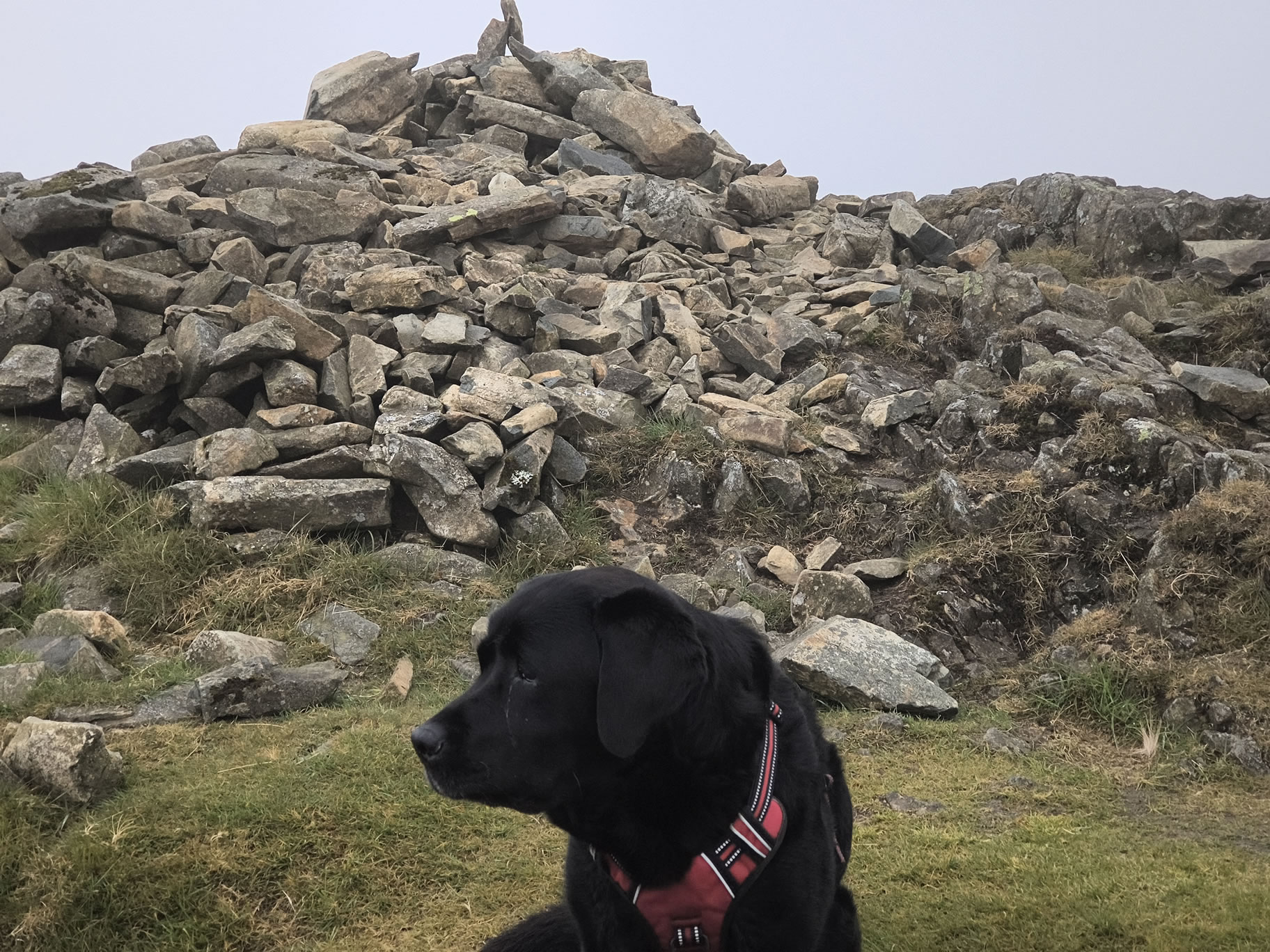 High Street May 30, 2025 - Image 12