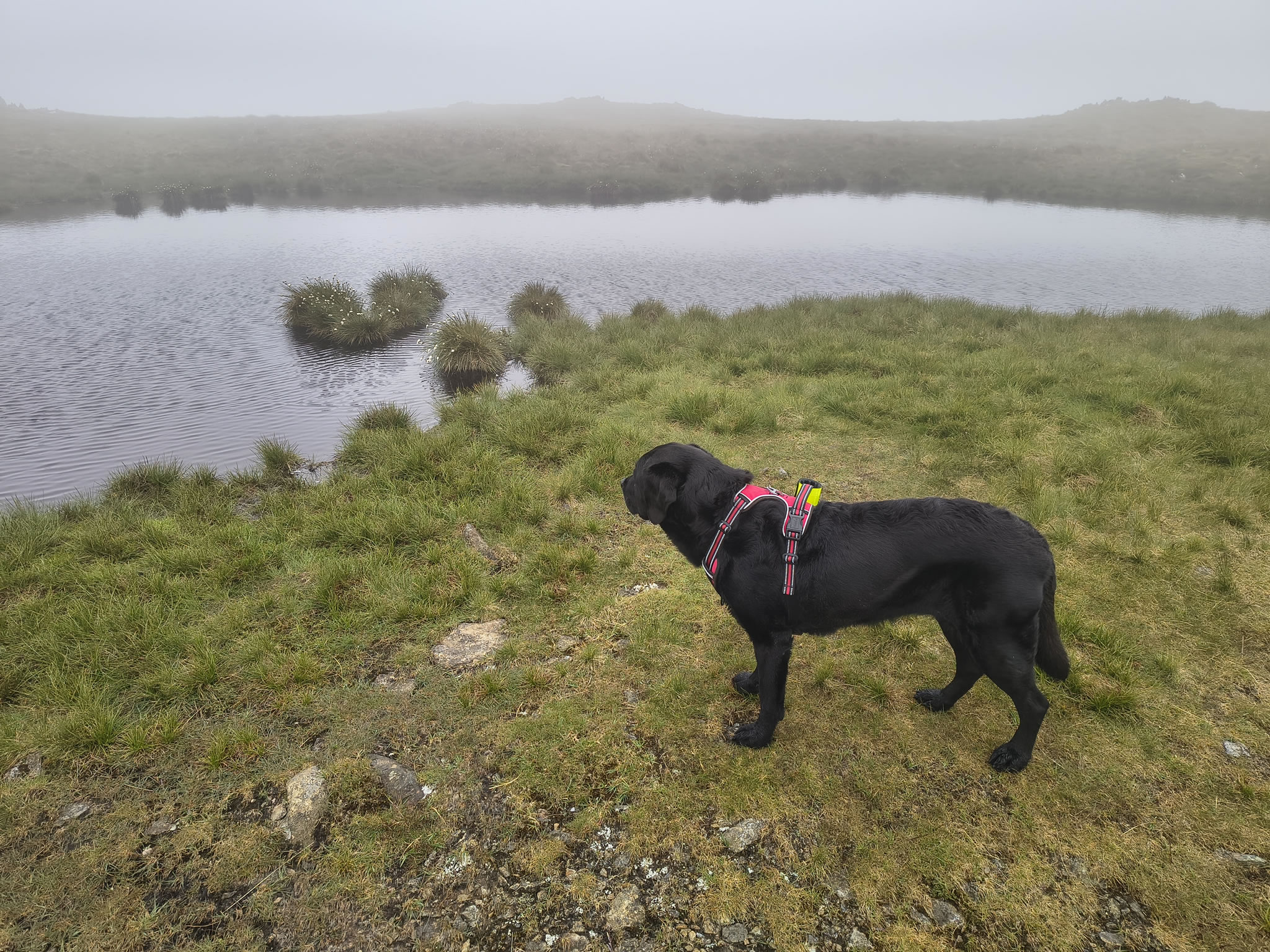 High Street May 30, 2025 - Image 14