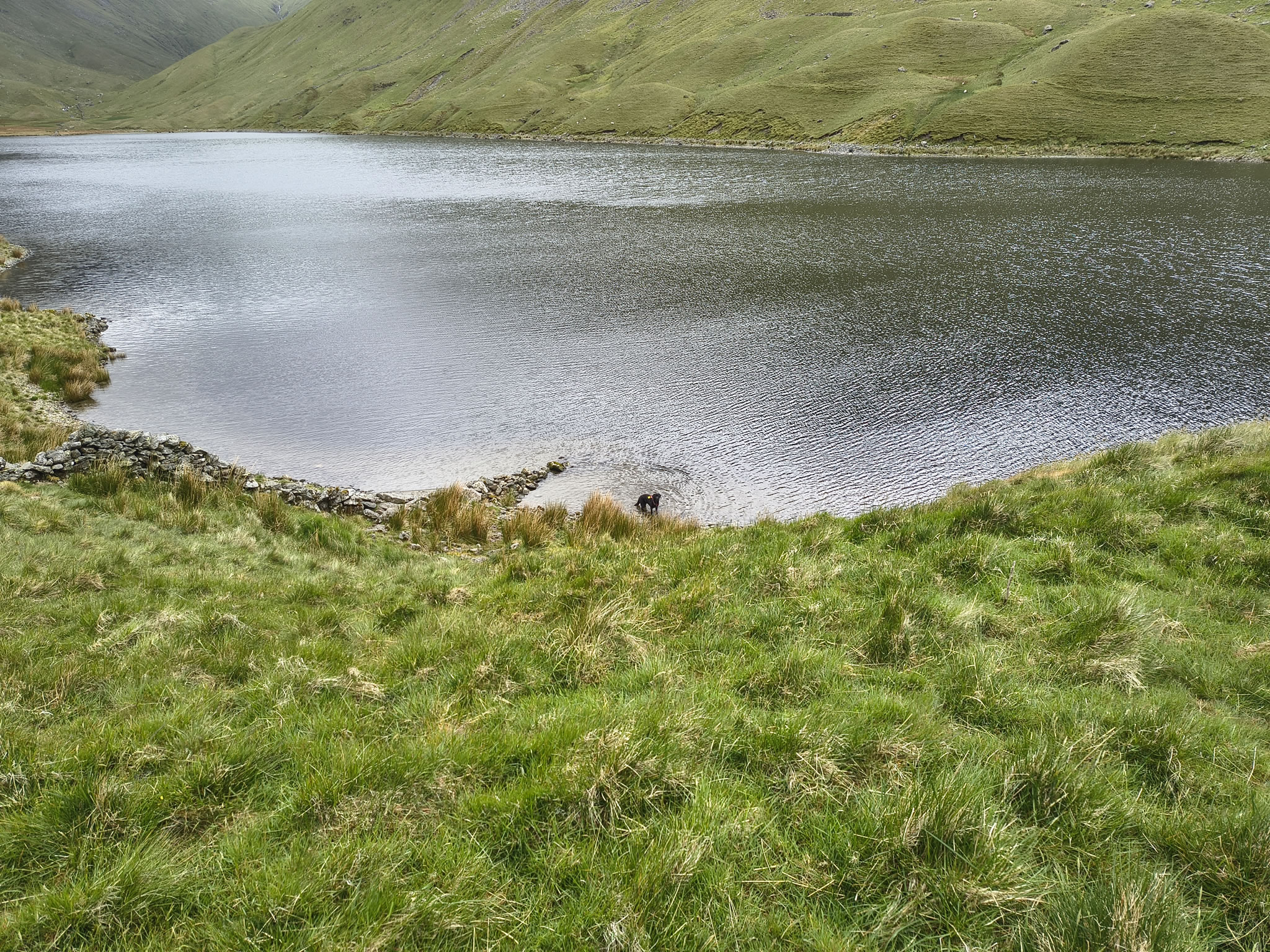 High Street May 30, 2025 - Image 20