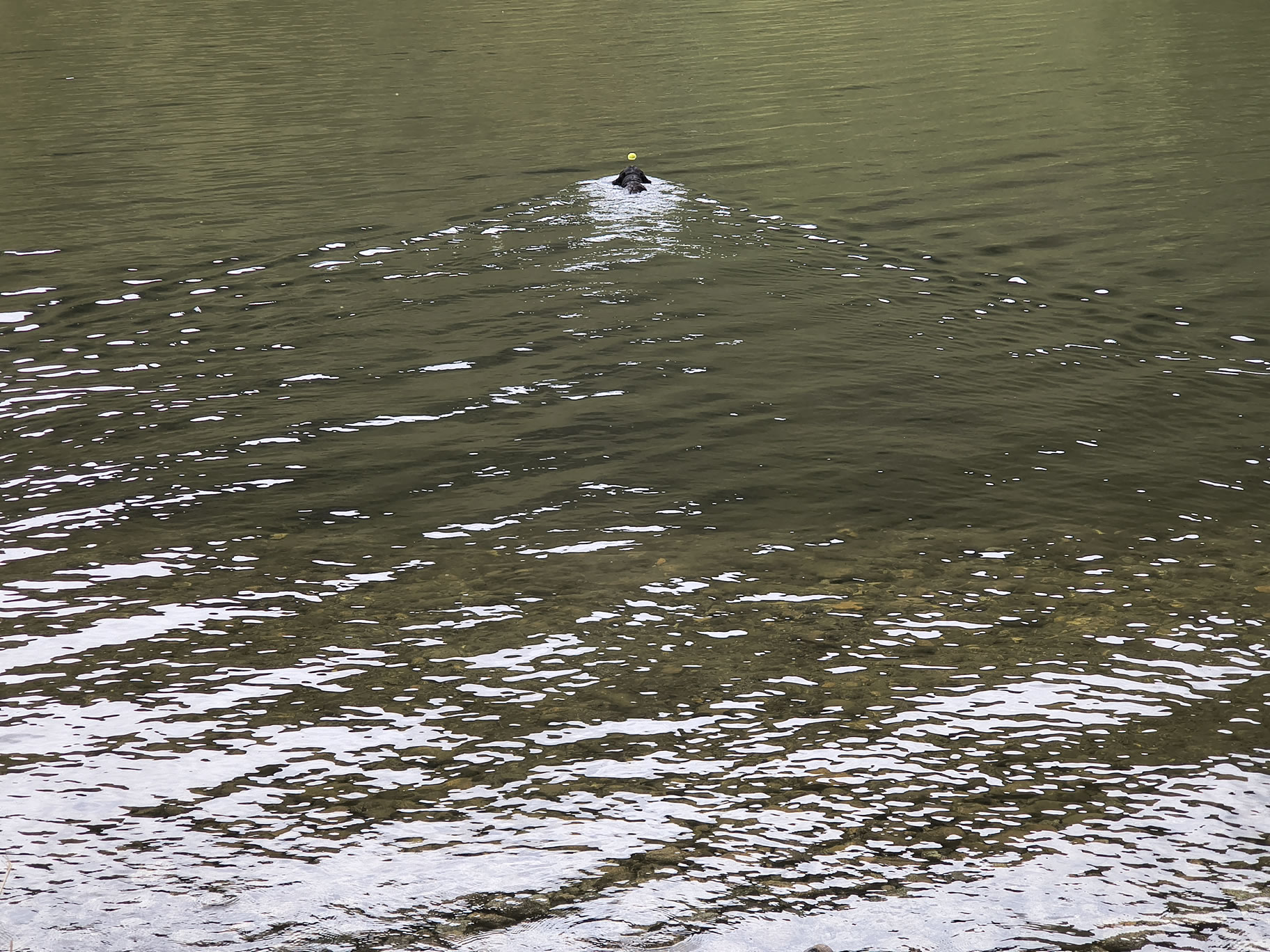 High Street May 30, 2025 - Image 21